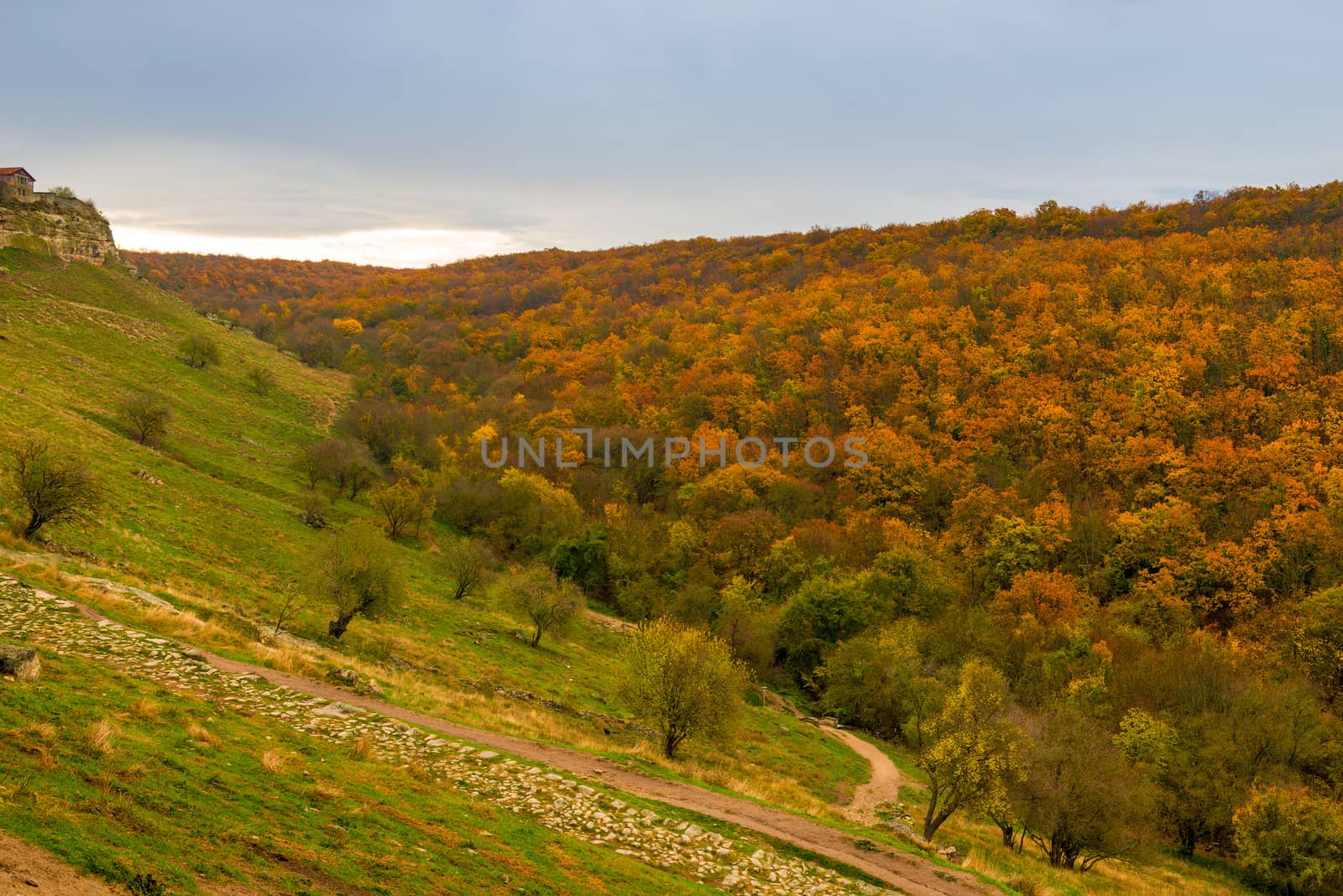 View of a bright autumn orange forest from a hill on a cloudy da by kosmsos111