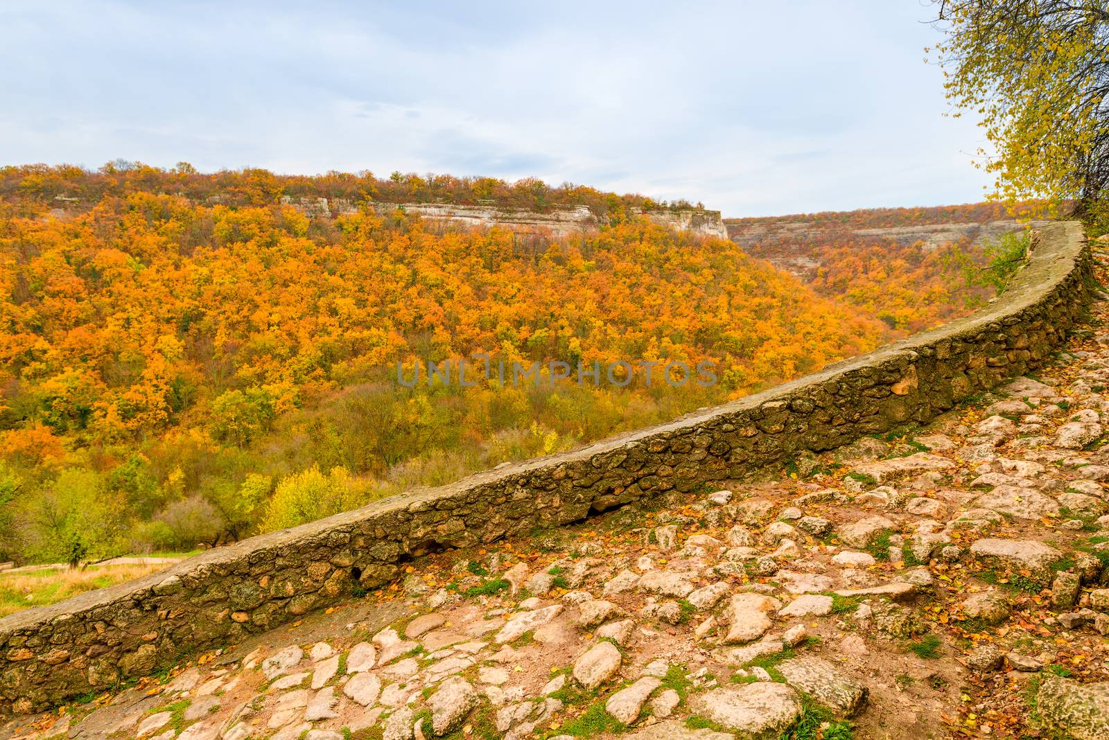 Autumn forest near the cave city of Chufut-Kale in the Crimea Bakhchisaray