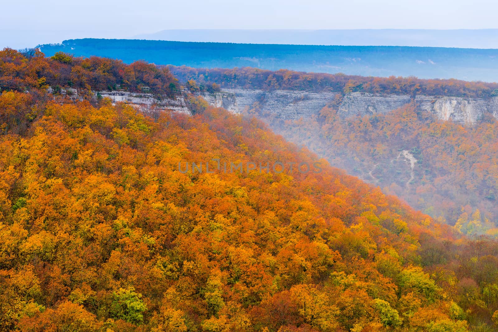 Beautiful autumn orange forest, mountain landscape in the fog on an autumn rainy day