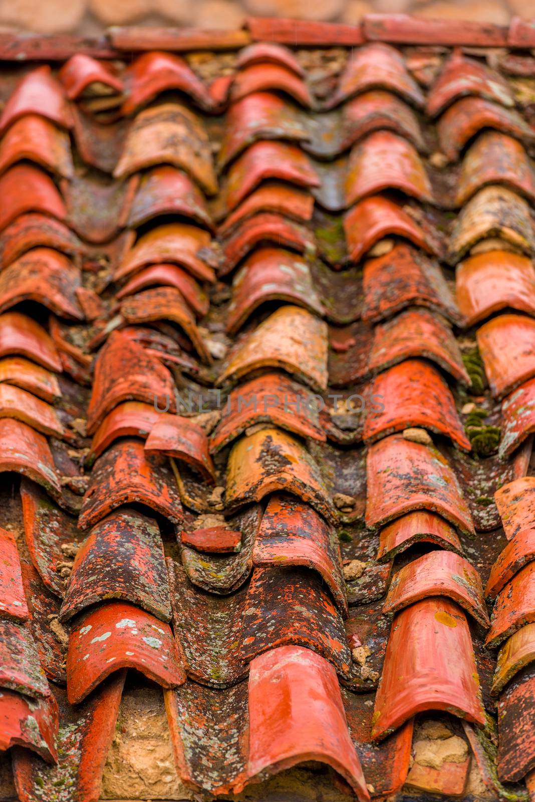 clay old shingles on the roof of an old house closeup by kosmsos111