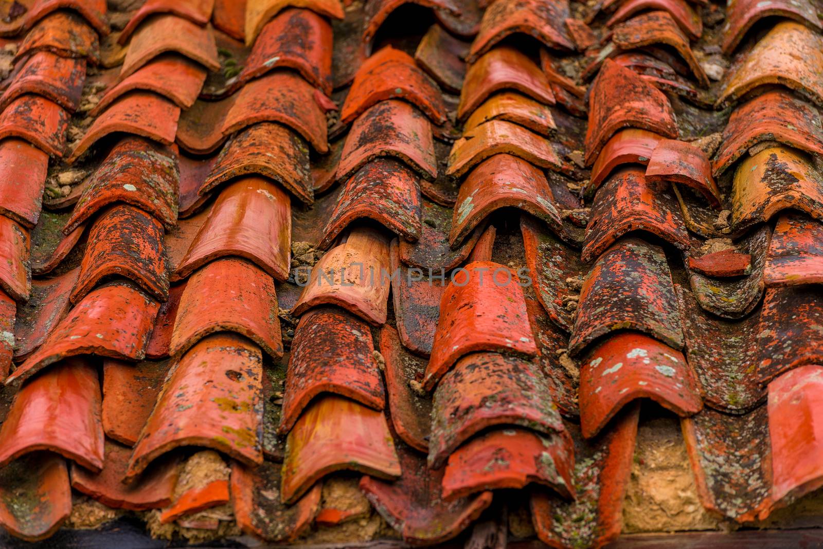 close-up of shingles on the roof of an old house