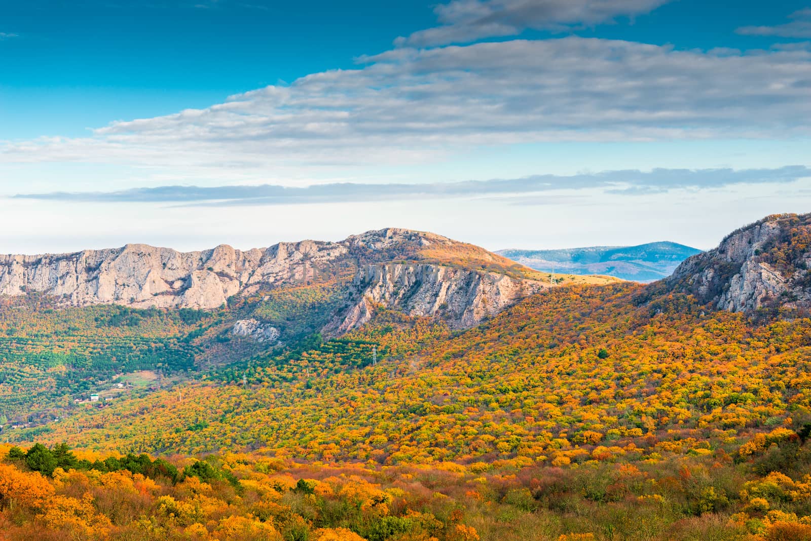 Beautiful orange forest on the slope of the mountains, Crimea, R by kosmsos111