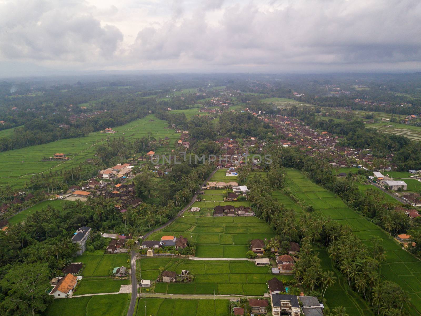 Aerial view of Ubud countryside in Bali, Indonesia