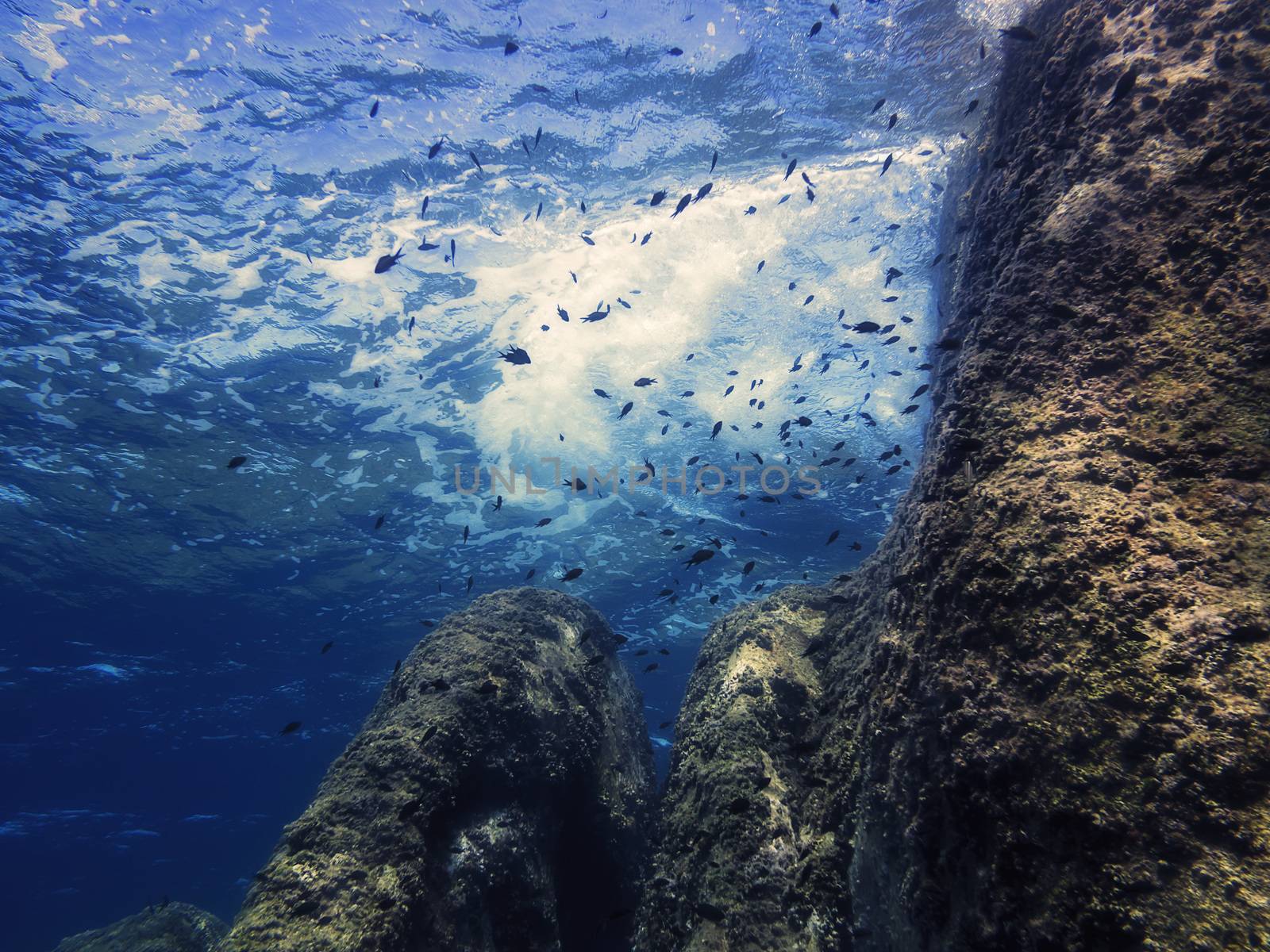 background of the underwater view of a rock wall by raulmelldo