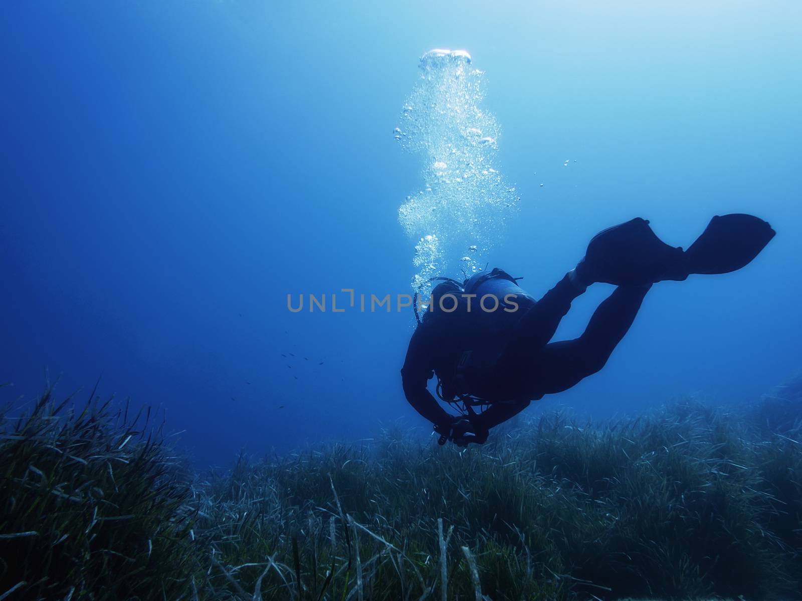 person dives relaxed on the bottom of the blue sea, the seabed is covered in seaweed. Diver breathing bubbles rise to the surface reflecting sunlight