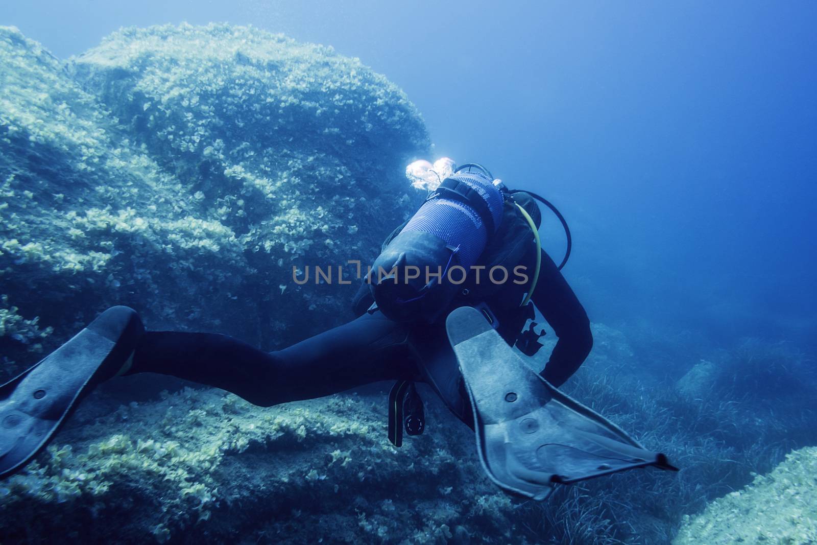 diver submerged near the bottom rocks, the water is blue and turquoise, the stones are covered with small algae. The diver turns his back to the camera and his fins are in the foreground