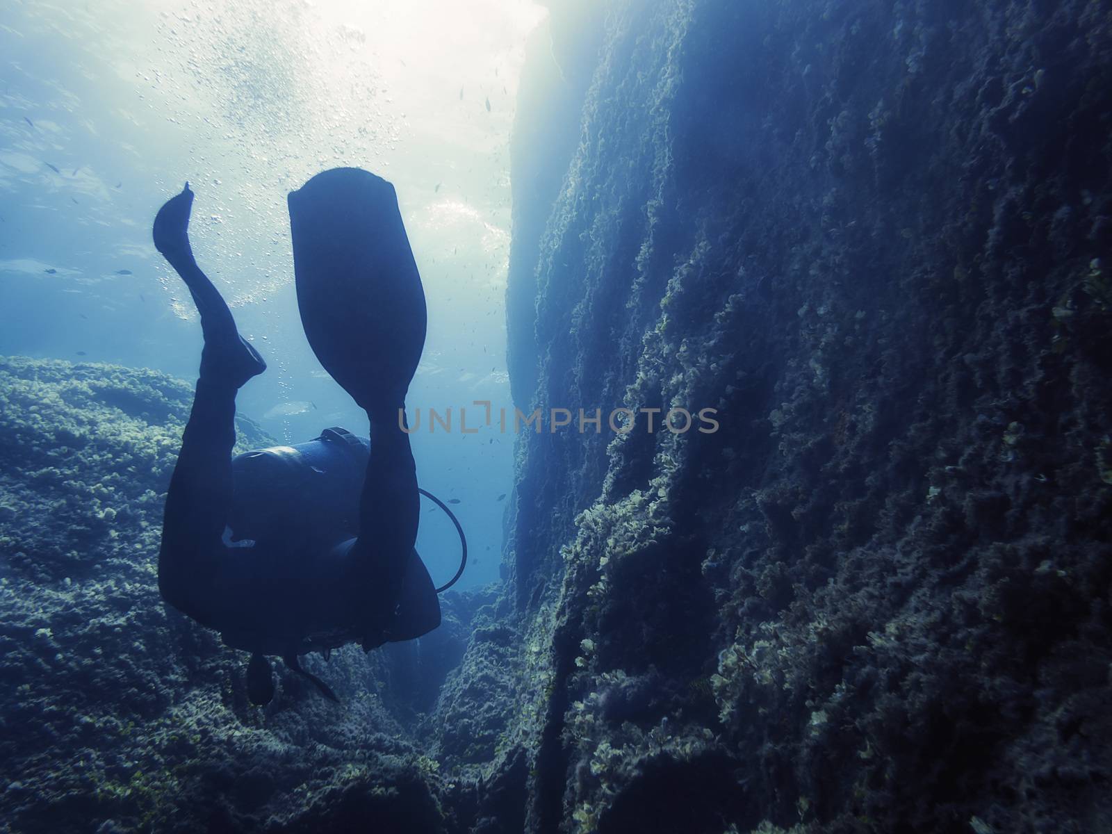 a person dive through an underwater canyon on the seabed, the bubbles and fins of the diver are silhouetted against the reflection of the golden sun on the surface and gently illuminate the dark rocks