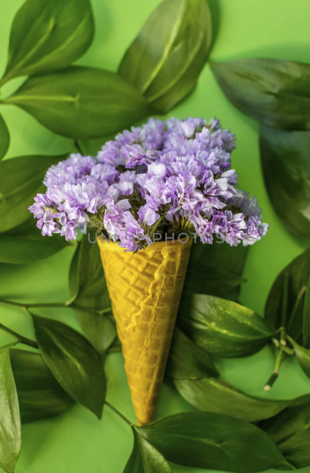 Waffle cone with violet flowers with leaves on green background