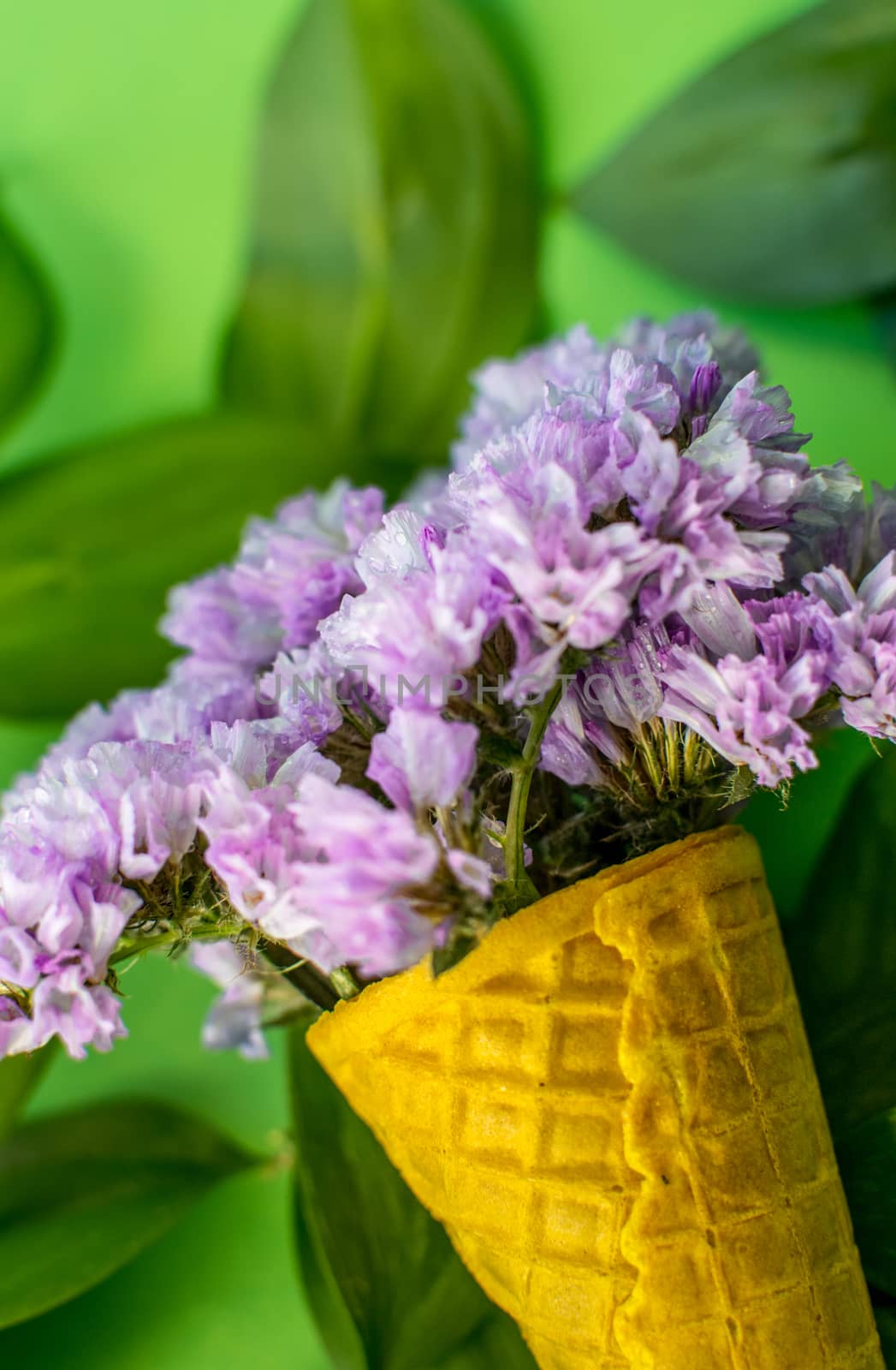 Waffle cone with violet flowers with leaves on green background