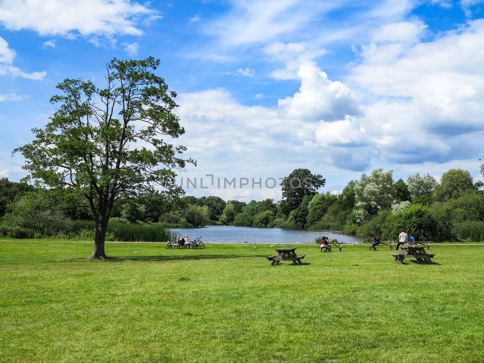 Pond and Picnic Tables by quackersnaps