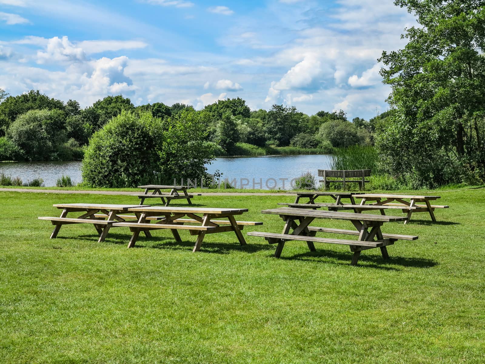 Some picnic tables with a lake and trees behind