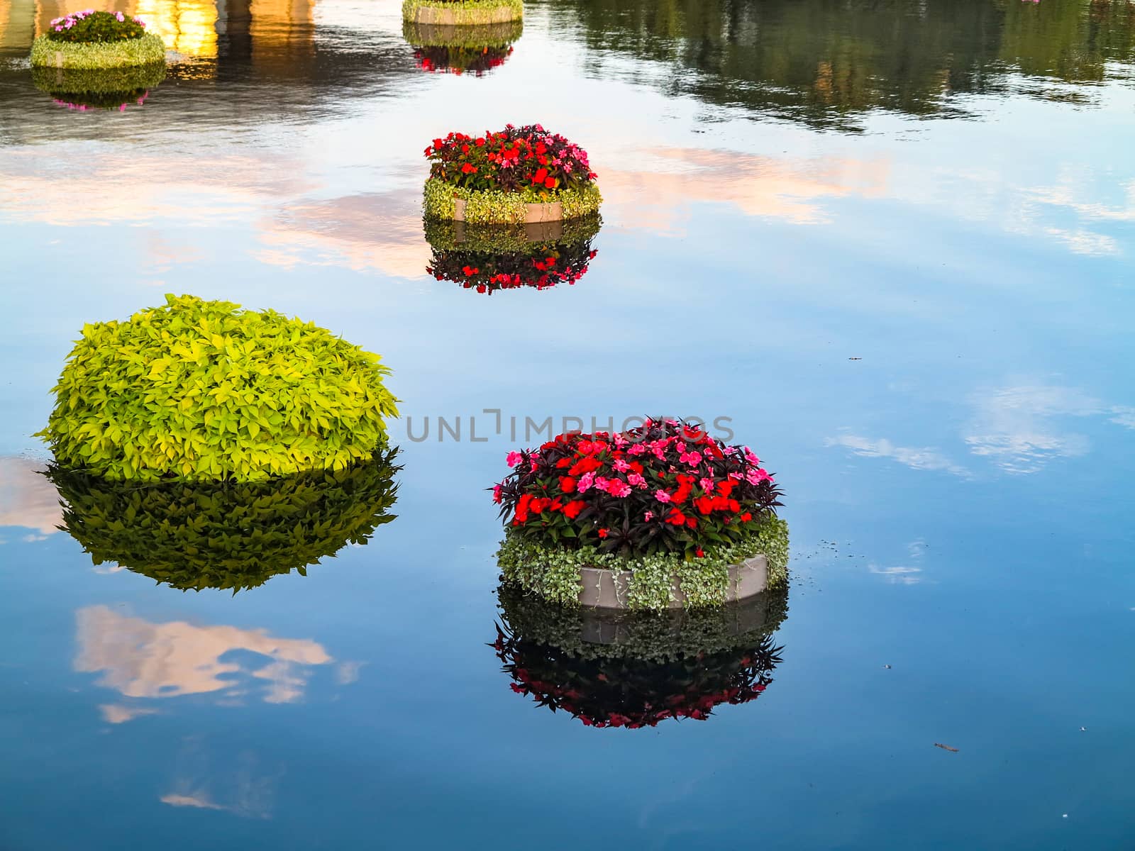 Pots with plants and flowers floating on water