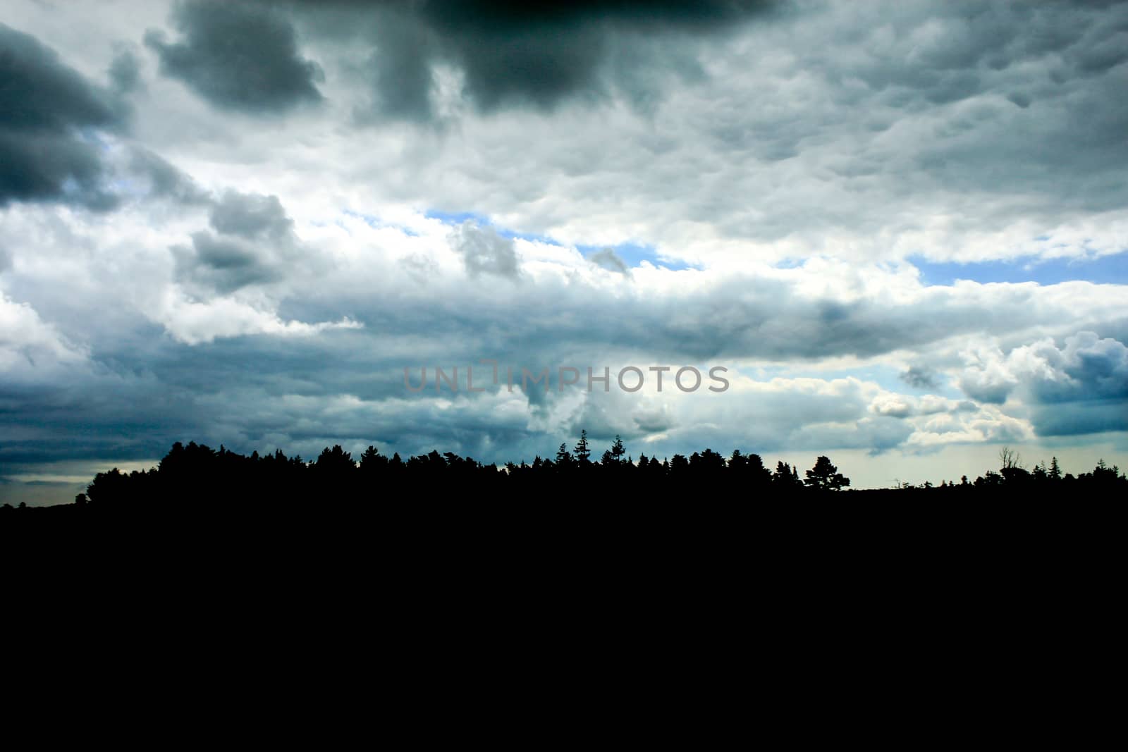 Stormy clouds and a forest in silhouette