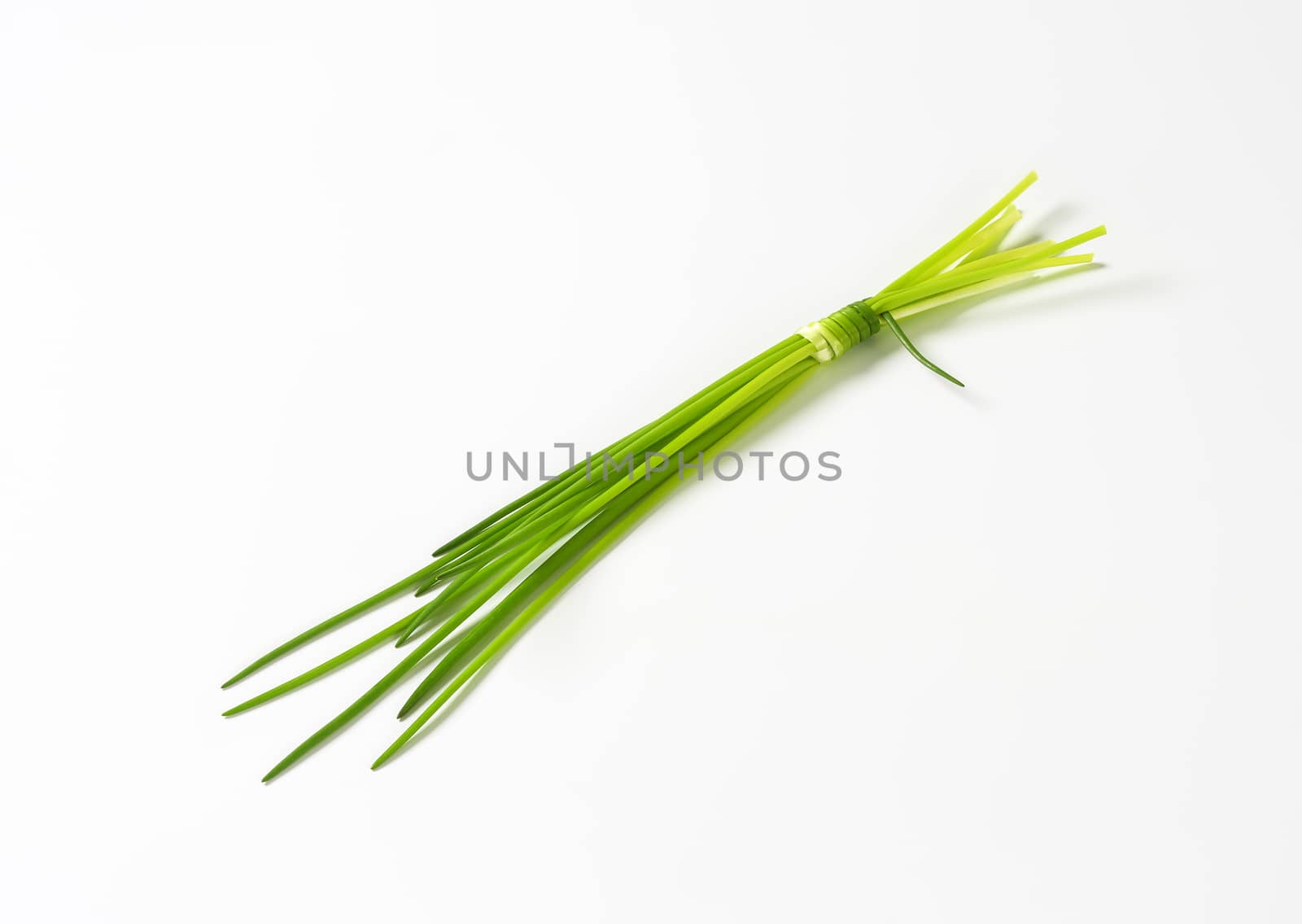 Fresh chives leaves on white background