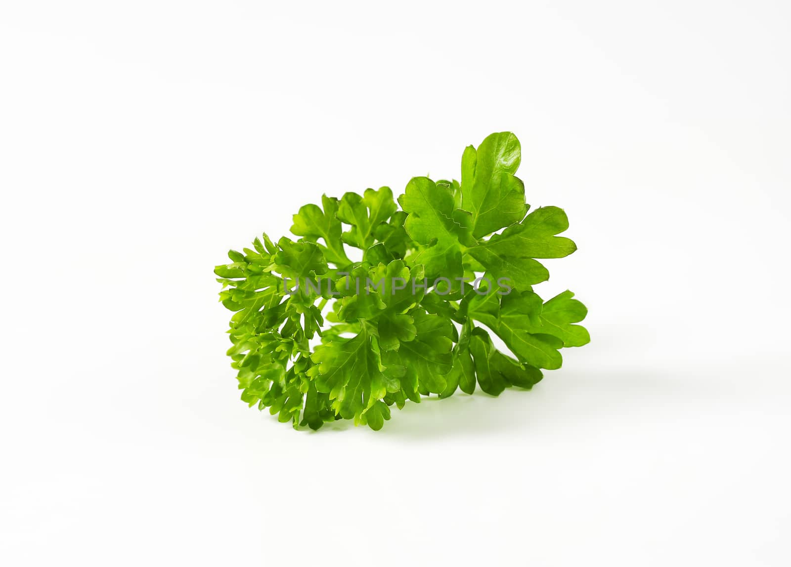 Fresh parsley sprigs by Digifoodstock