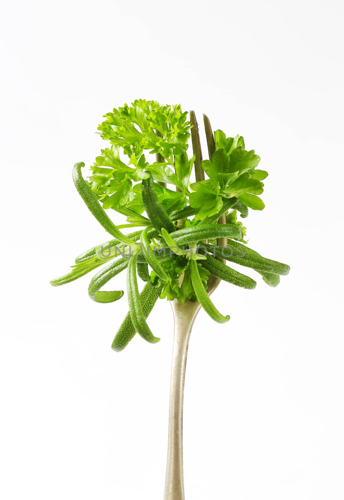 Fresh parsley and rosemary on fork
