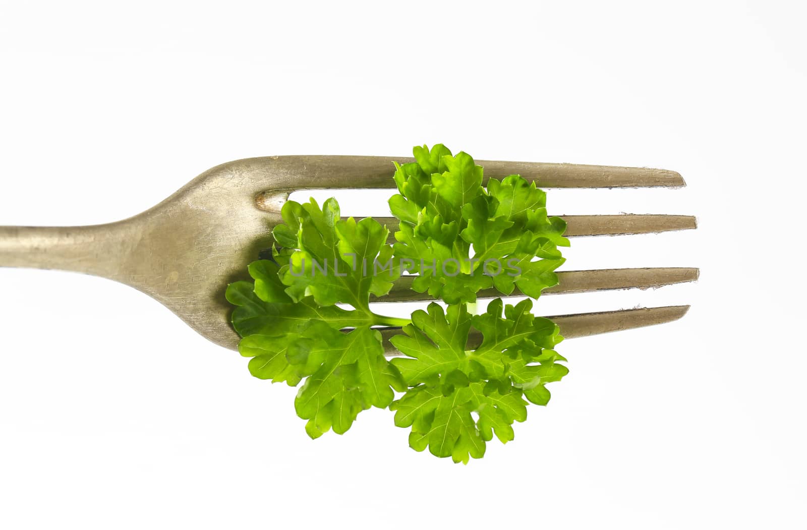 Fresh parsley leaves on fork