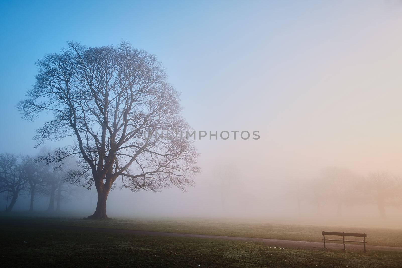 Heavy foggy in early morning in Winter