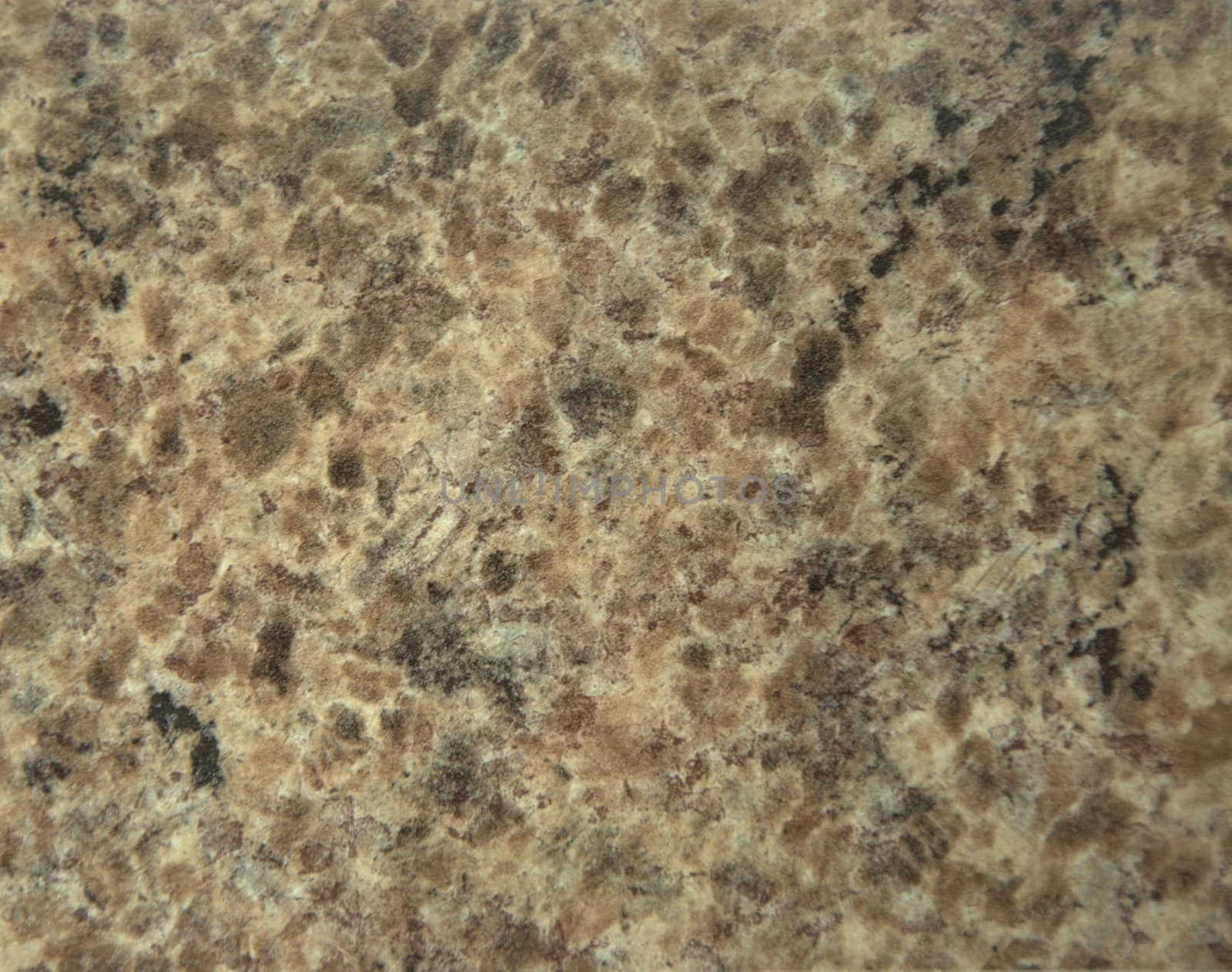 Light-brown granite with white and black impregnation. Close-up