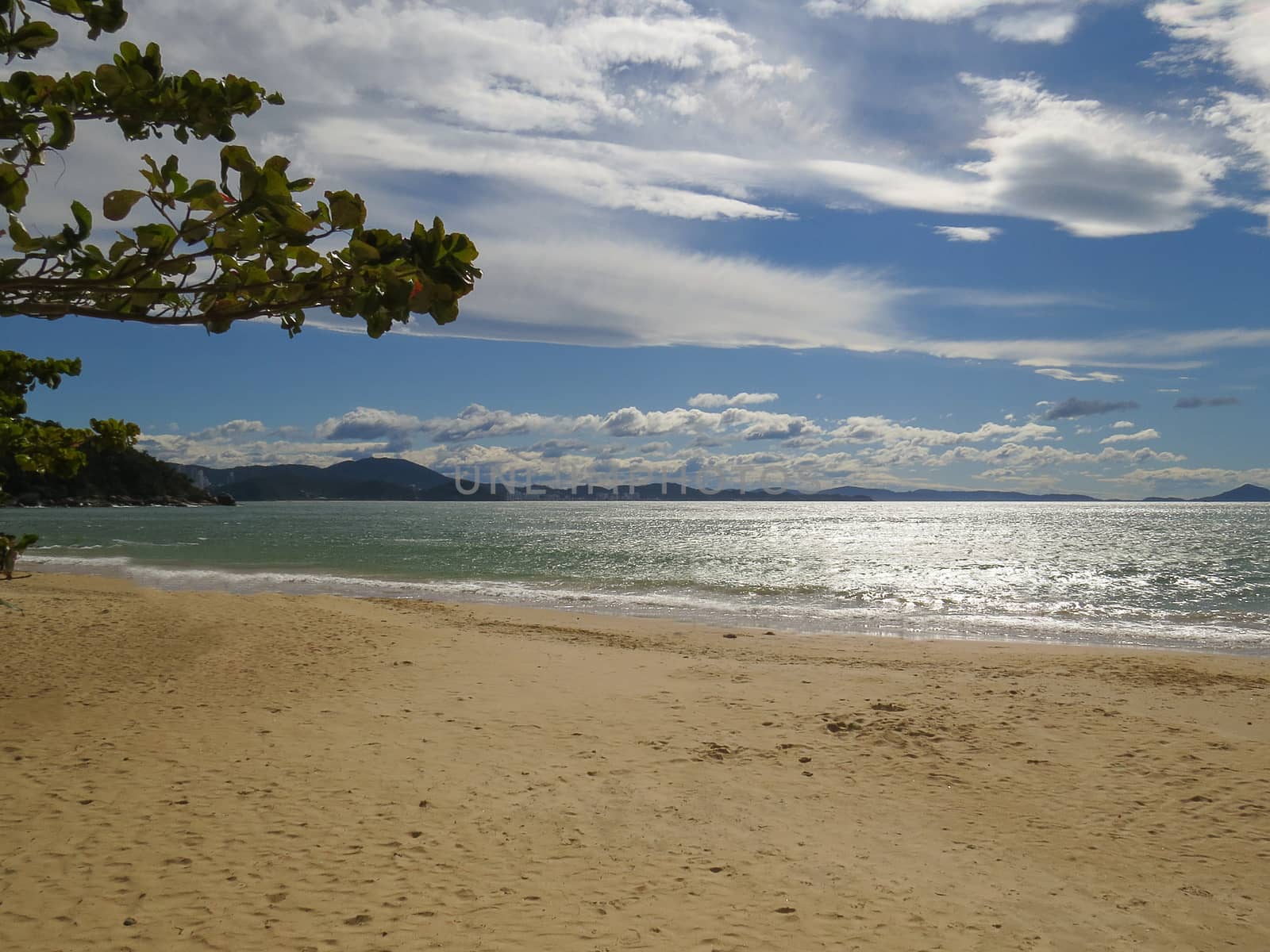 Sunny beach with waves crashing on the sand at the water's edge in the late afternoon.