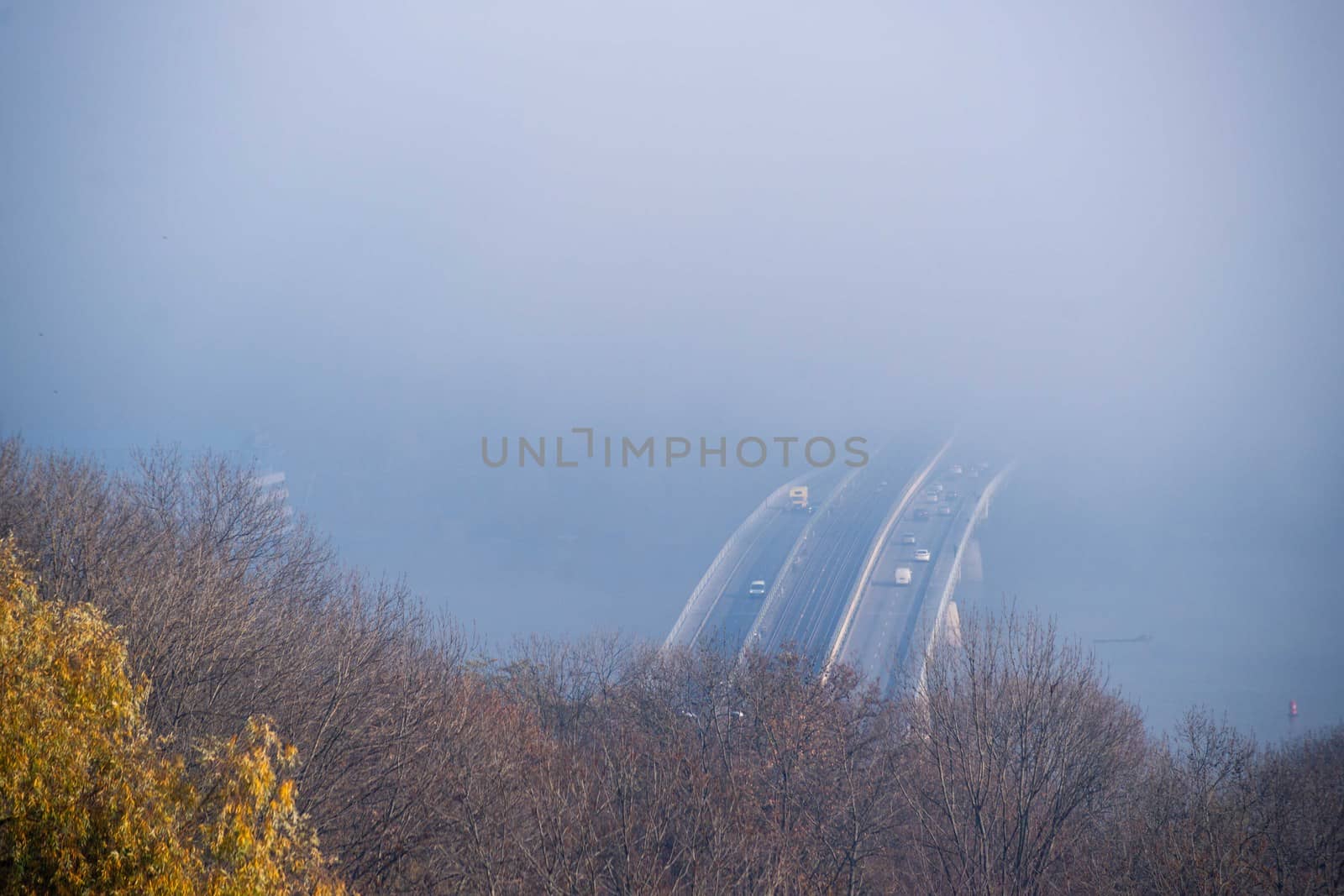 Autumn fog and river steel bridge with subway train on blurred background. Forest in foreground. by alexsdriver