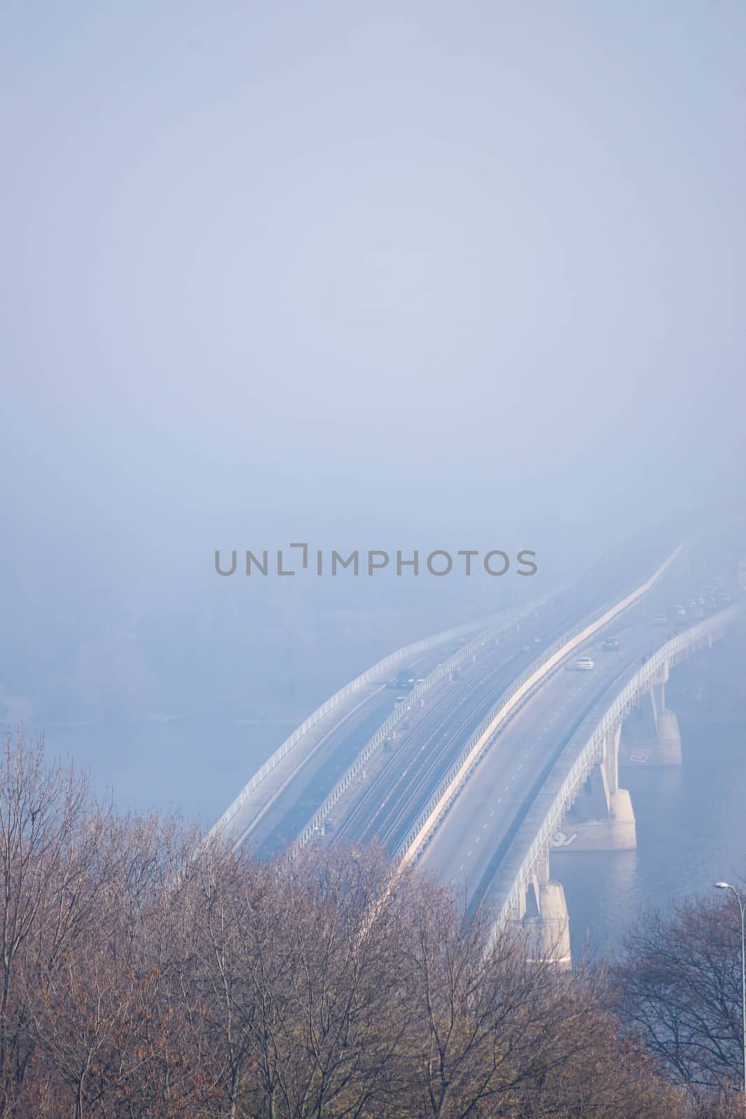 Autumn fog and river steel bridge with subway train on blurred background. Forest in foreground. by alexsdriver