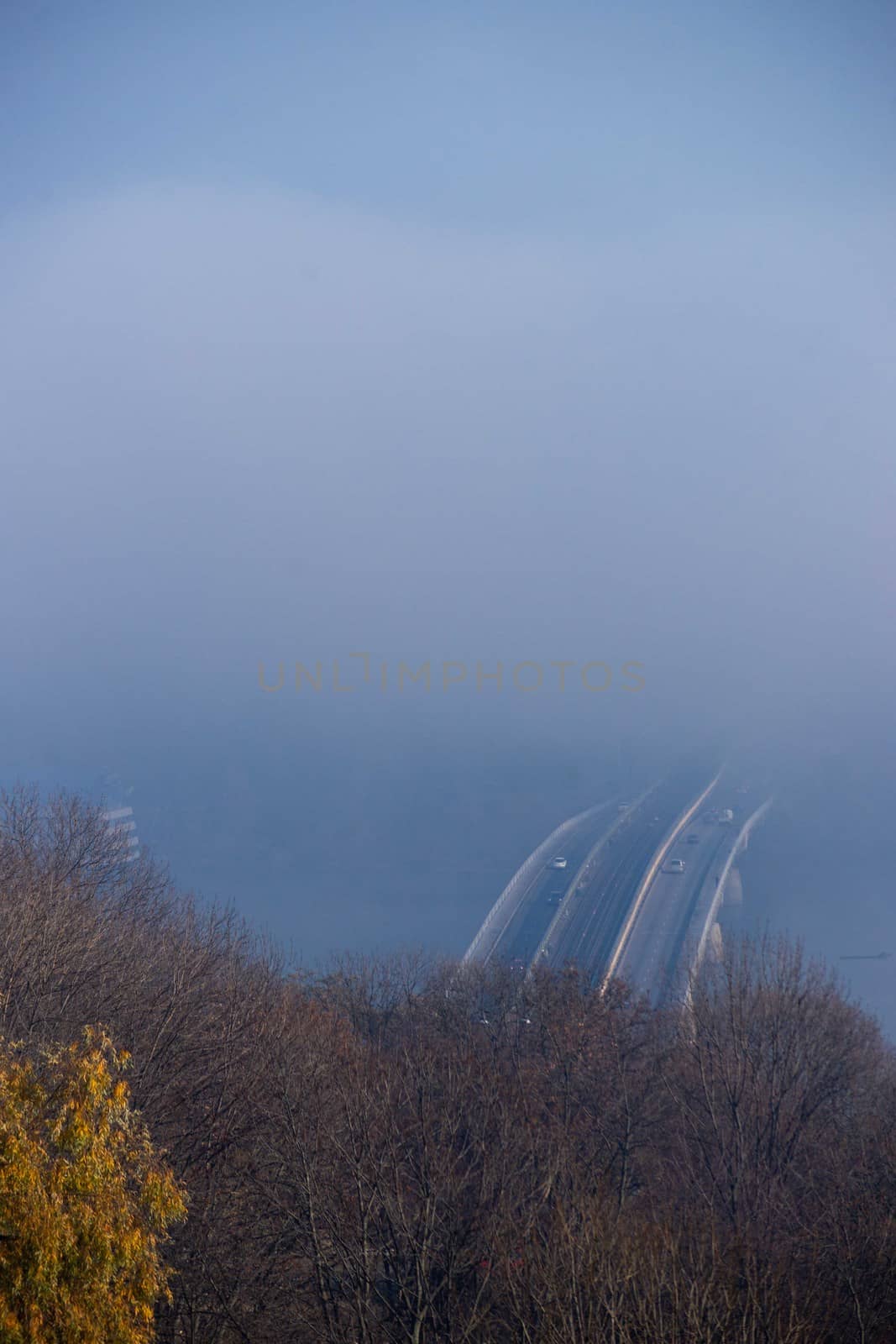 Autumn fog and river steel bridge with subway train on blurred background. Forest in foreground. by alexsdriver