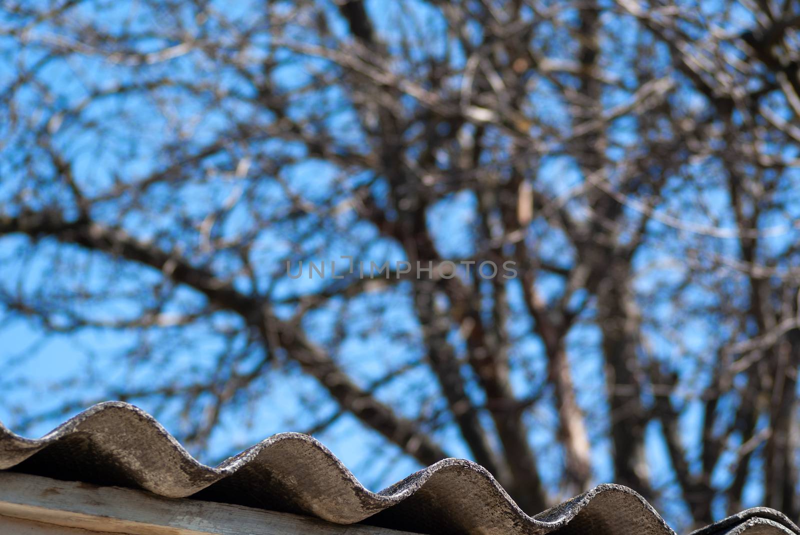 Part of roof with asbestos slate on it on blurred sky background with many branches of tree.