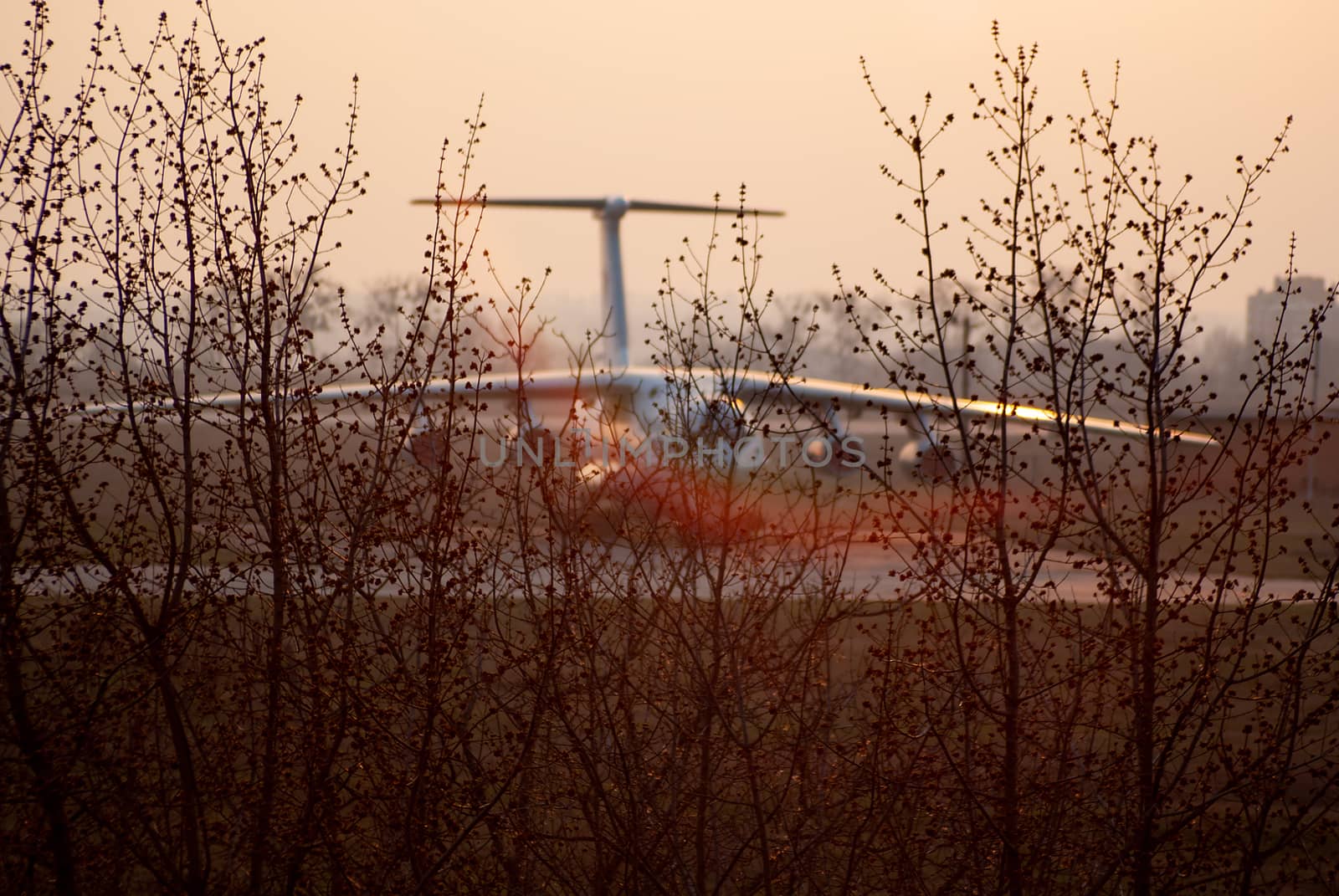 Big cargo plane on blurred background in golden time evening lights. In foregroung a lot of branches of trees.