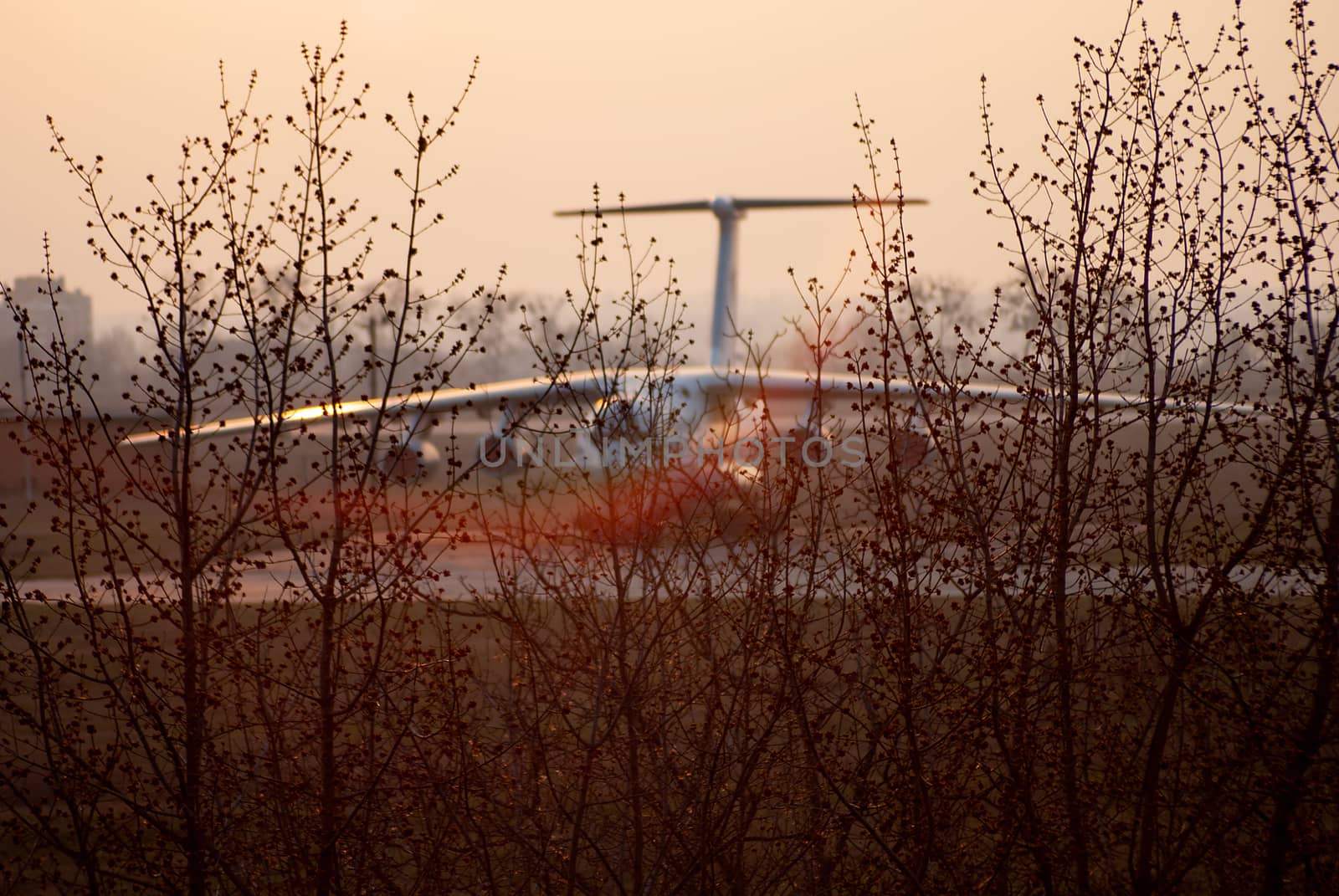 Big cargo plane on blurred background in golden time evening lights. In foregroung a lot of branches of trees.