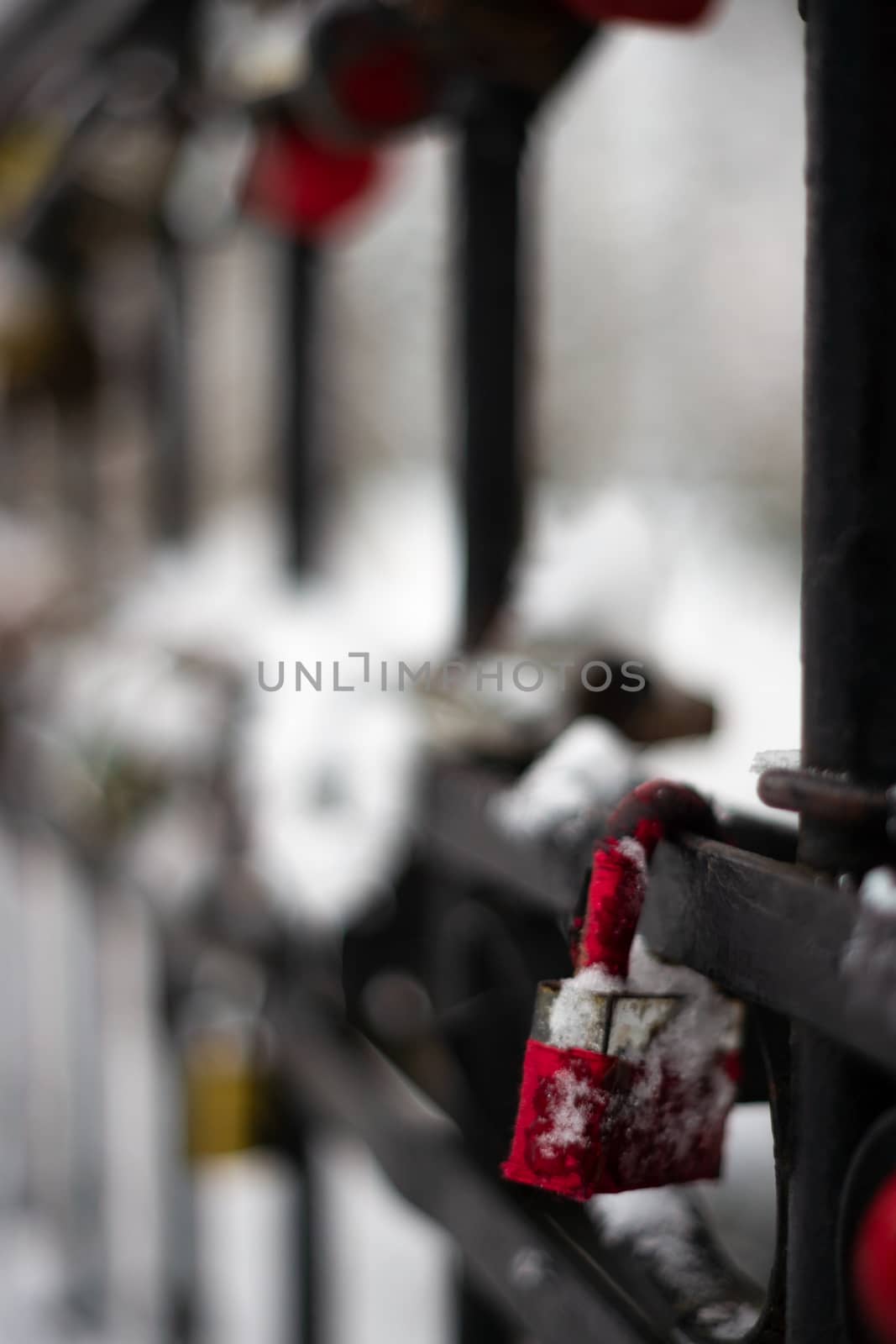 Padlocks on a fence in park. Winter time, romantic place in park. Closeup view with blurred background.