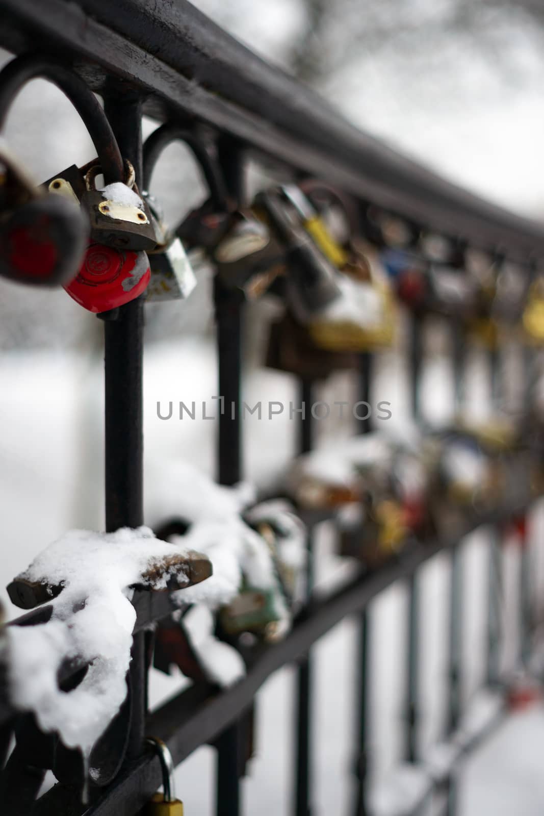 Padlocks on a fence in park. Winter time, romantic place in park. Closeup view with blurred background.