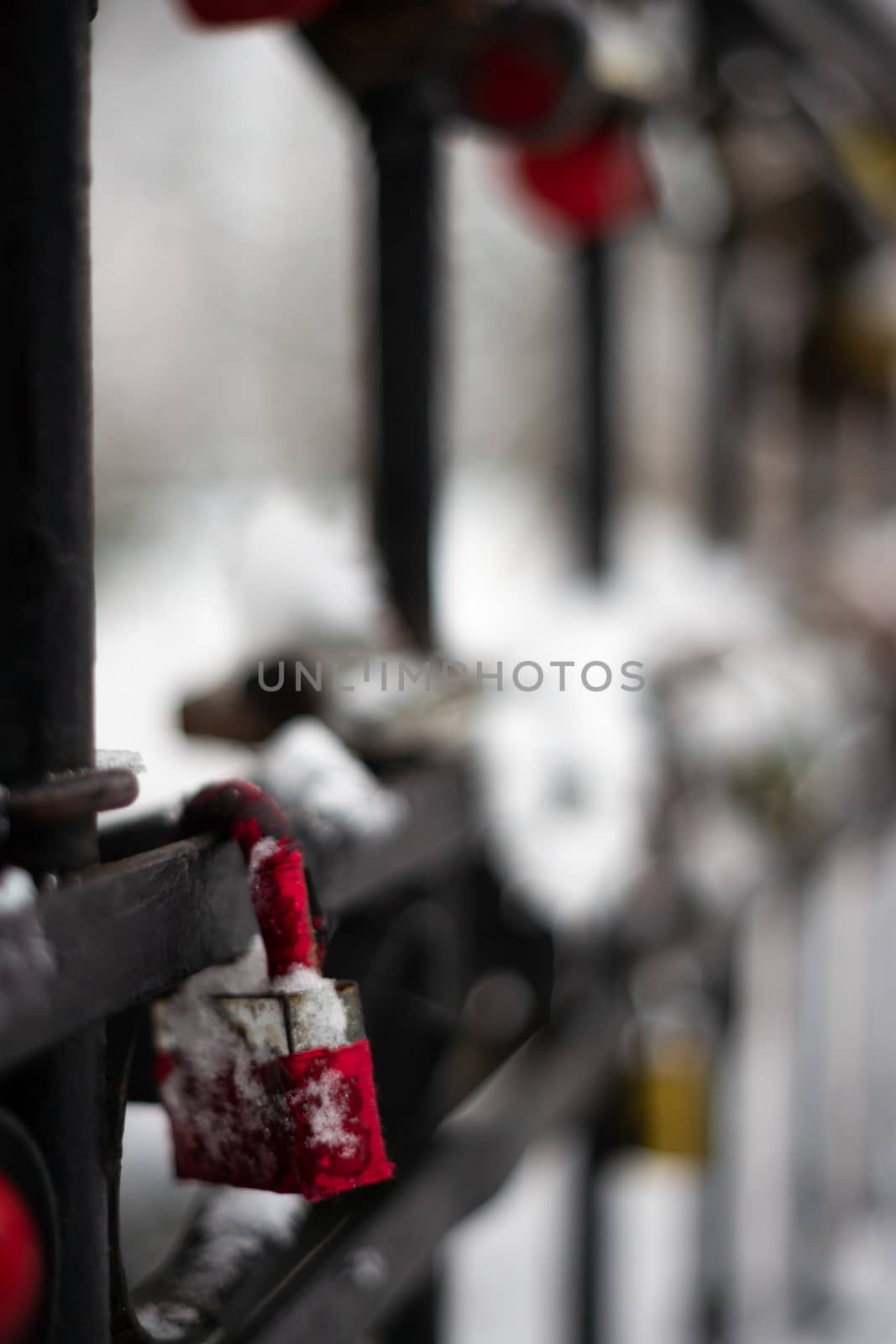 Padlocks on a fence in park. Winter time, romantic place in park. Closeup view with blurred background.