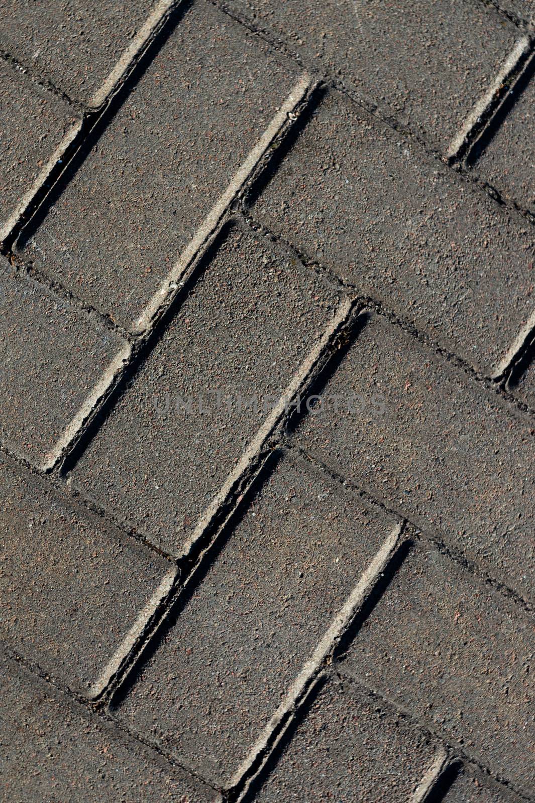 Paving tiles close up