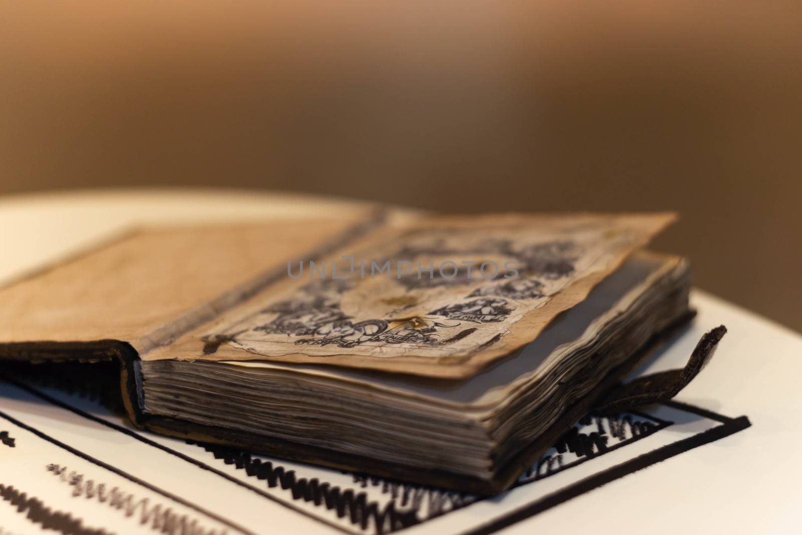Handmade magic notebook with tower symbol on cover. Leather cover and handmade sheets inside. Notebook have 12 signs of the zodiac on first page. Very blurred background with soft focus on notebook.