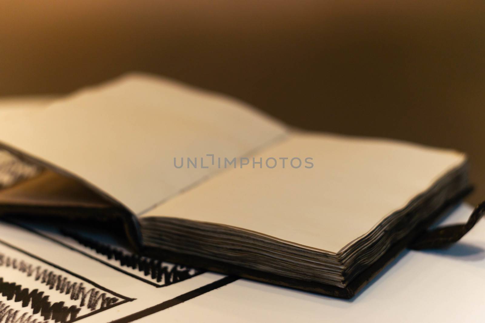 Handmade magic notebook with tower symbol on cover. Leather cover and handmade sheets inside. Notebook have 12 signs of the zodiac on first page. Very blurred background with soft focus on notebook.