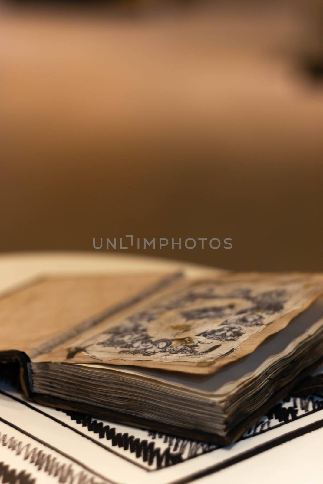 Handmade magic notebook with tower symbol on cover. Leather cover and handmade sheets inside. Notebook have 12 signs of the zodiac on first page. Very blurred background with soft focus on notebook.