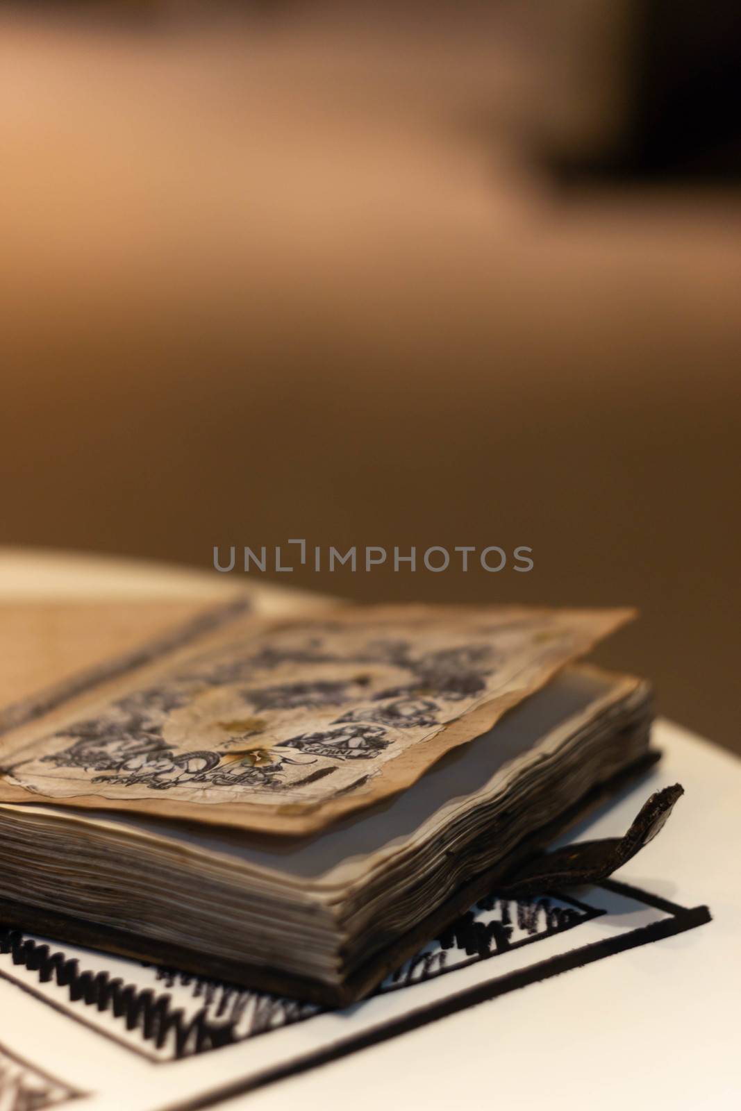 Handmade magic notebook with tower symbol on cover. Leather cover and handmade sheets inside. Notebook have 12 signs of the zodiac on first page. Very blurred background with soft focus on notebook.