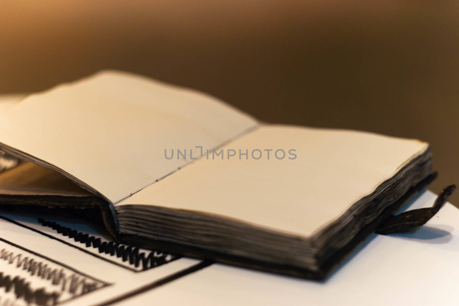 Handmade magic notebook with tower symbol on cover. Leather cover and handmade sheets inside. Notebook have 12 signs of the zodiac on first page. Very blurred background with soft focus on notebook.