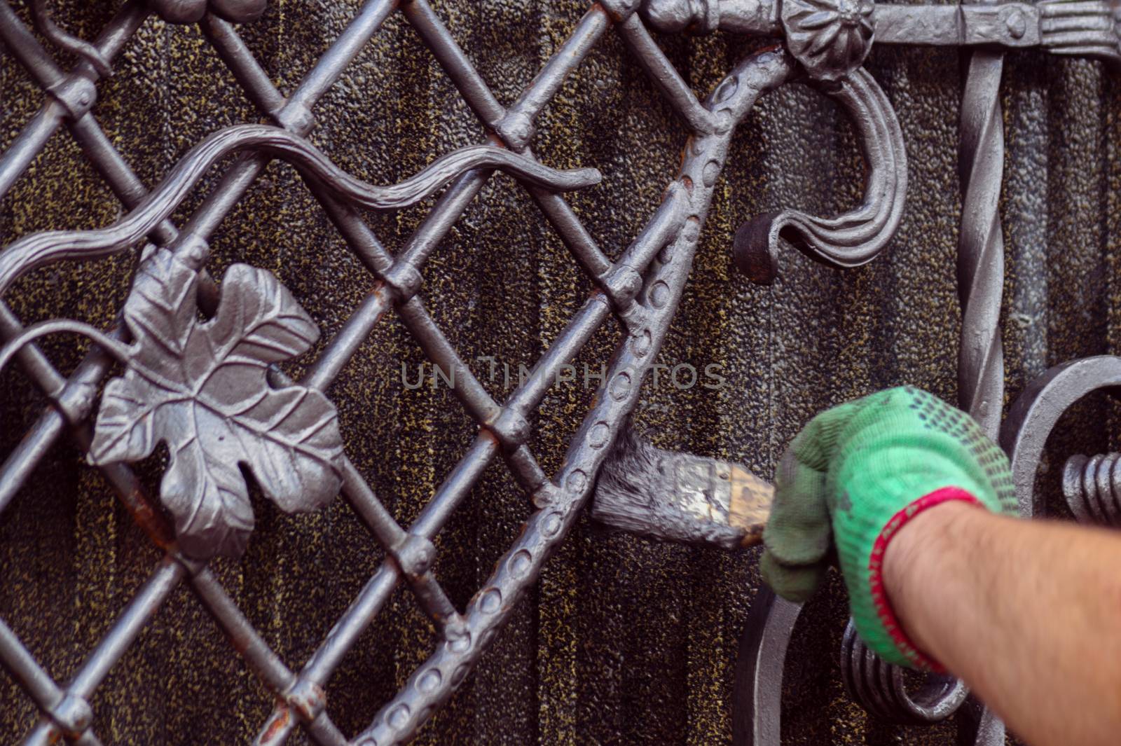 A man paints a gate with forged elements. On his hand is a green glove, near the elbow of a graze. The hand is located on the right of the frame.