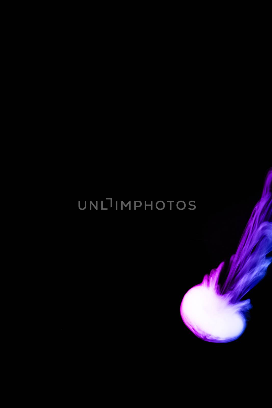 Round colored ring of vape fog on black background. Thin smoke bicolor ring goes down. Blue and purple color steam. Vape culture and no smoking direction.