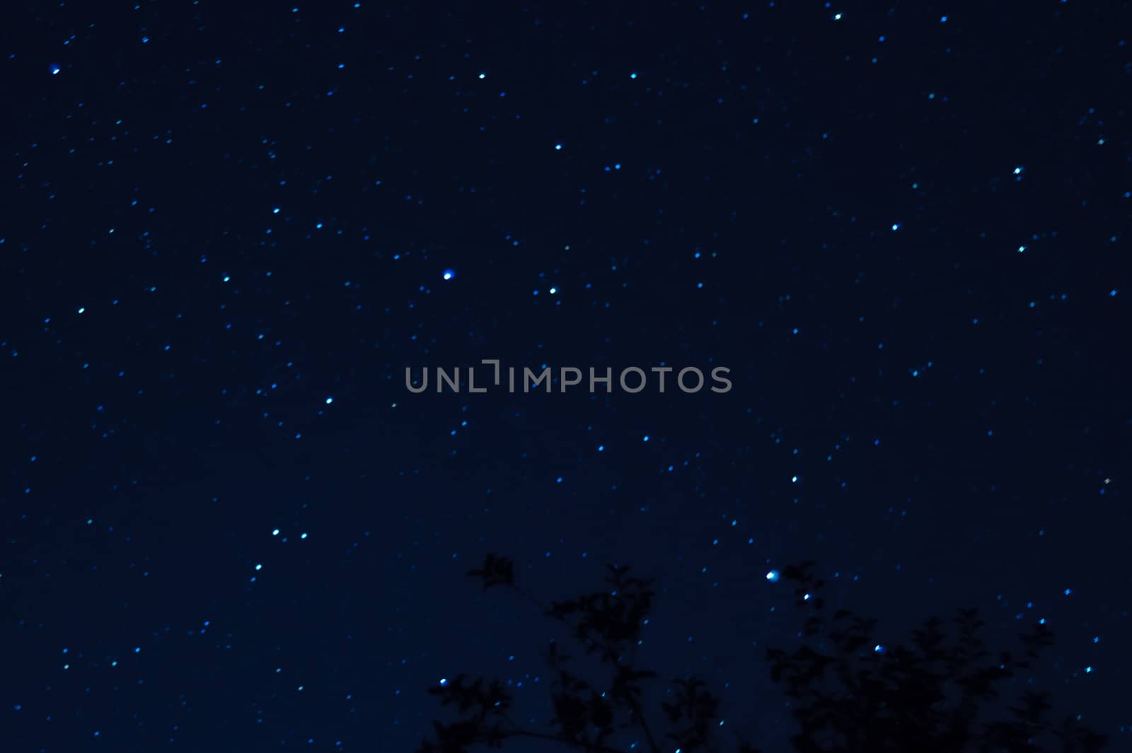Long exposure night photo. A lot of stars with trees on foreground. Far from the city. Night landscape.