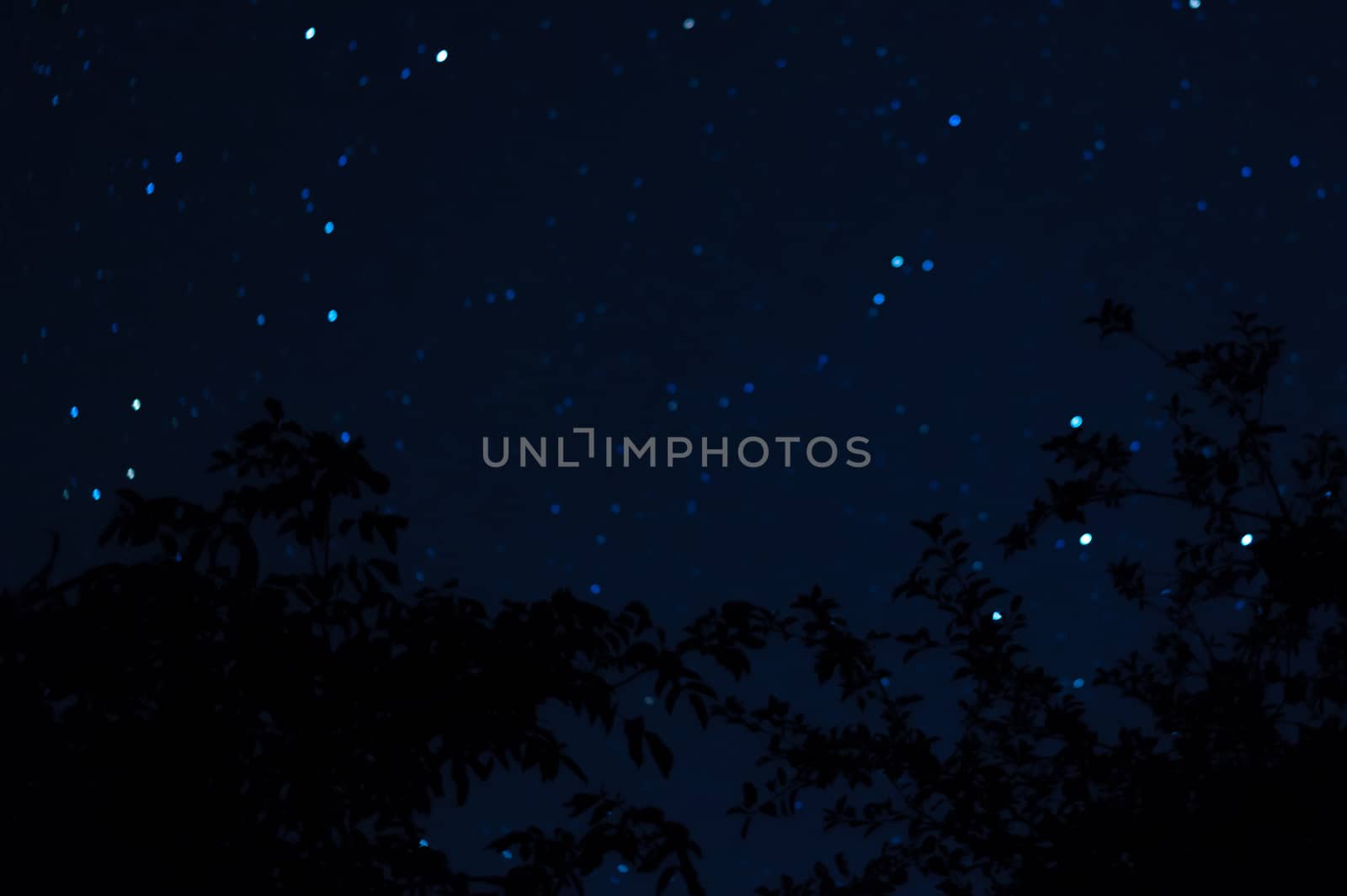 Long exposure night photo. A lot of stars with trees on foreground. Far from the city. Night landscape.
