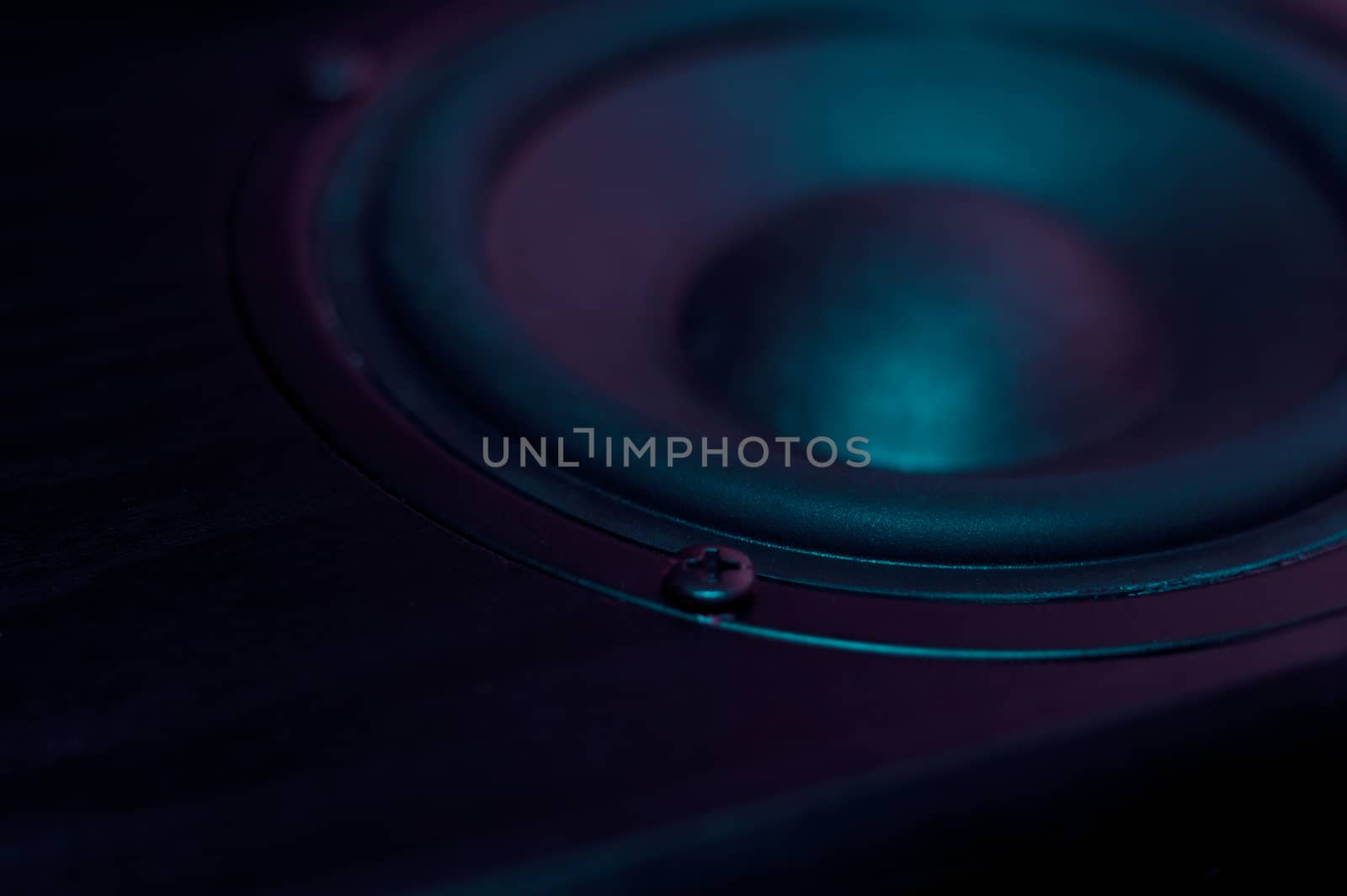 Professional loudspeaker from acoustic system in purple colours. Woofer and midbass speaker on photo. Night club atmosphere.