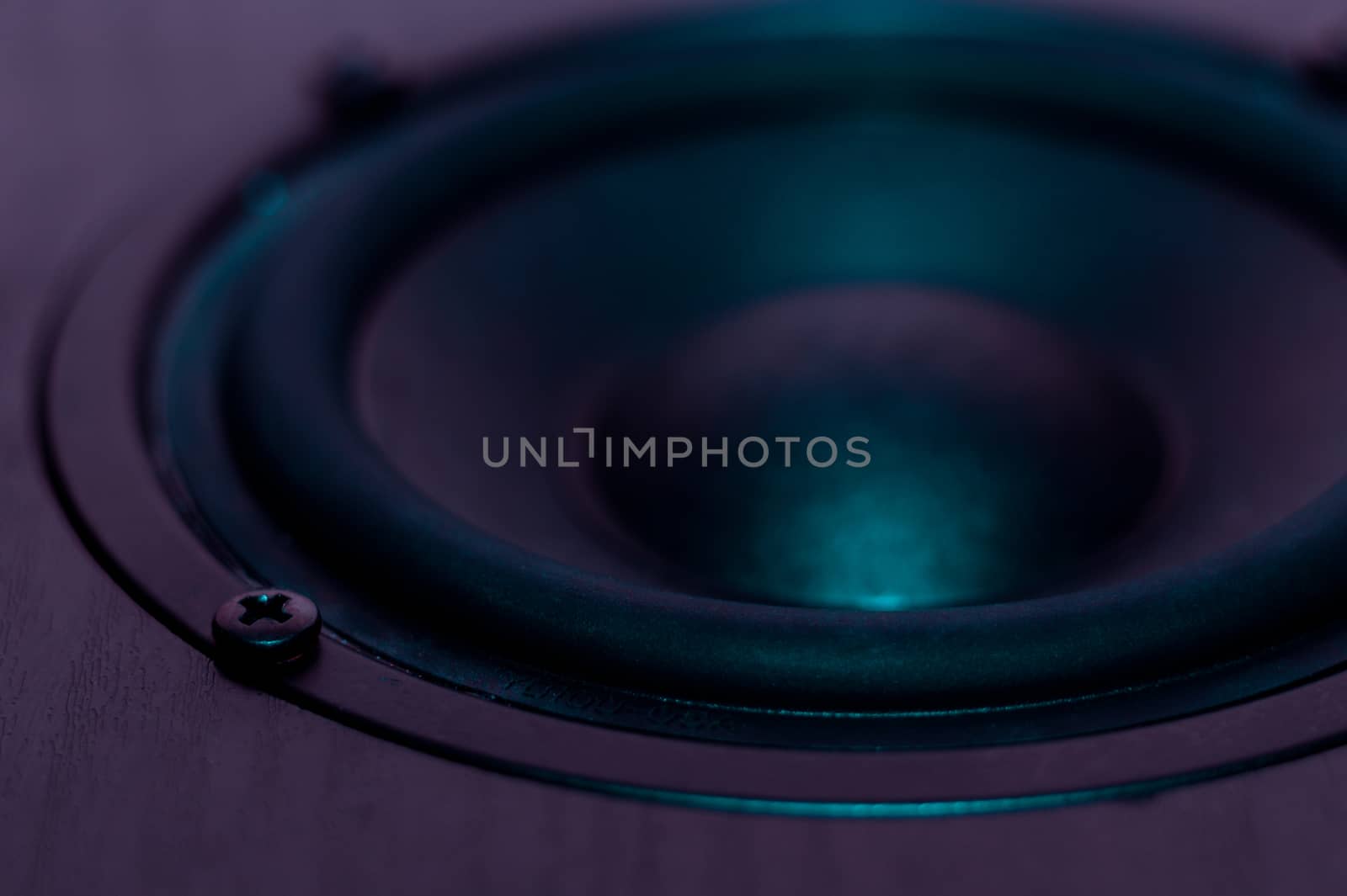 Professional loudspeaker from acoustic system in purple colours. Woofer and midbass speaker on photo. Night club atmosphere.
