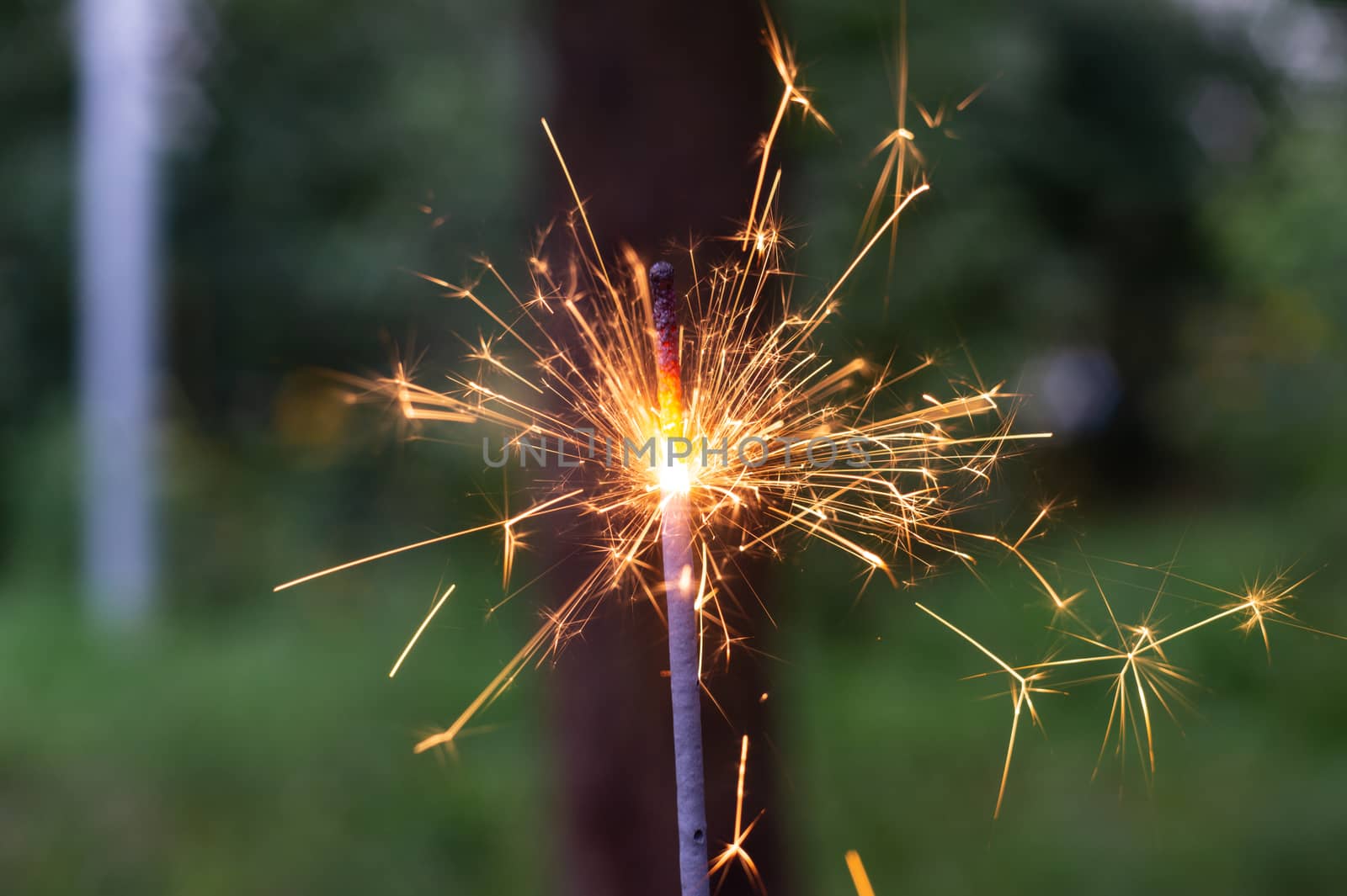 Firing bengali light in hand with blurred bakground close-up view.