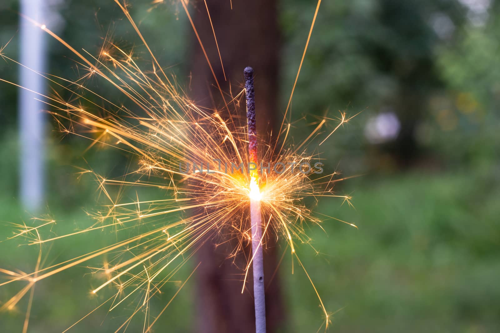 Firing bengali light in hand with blurred bakground close-up view.