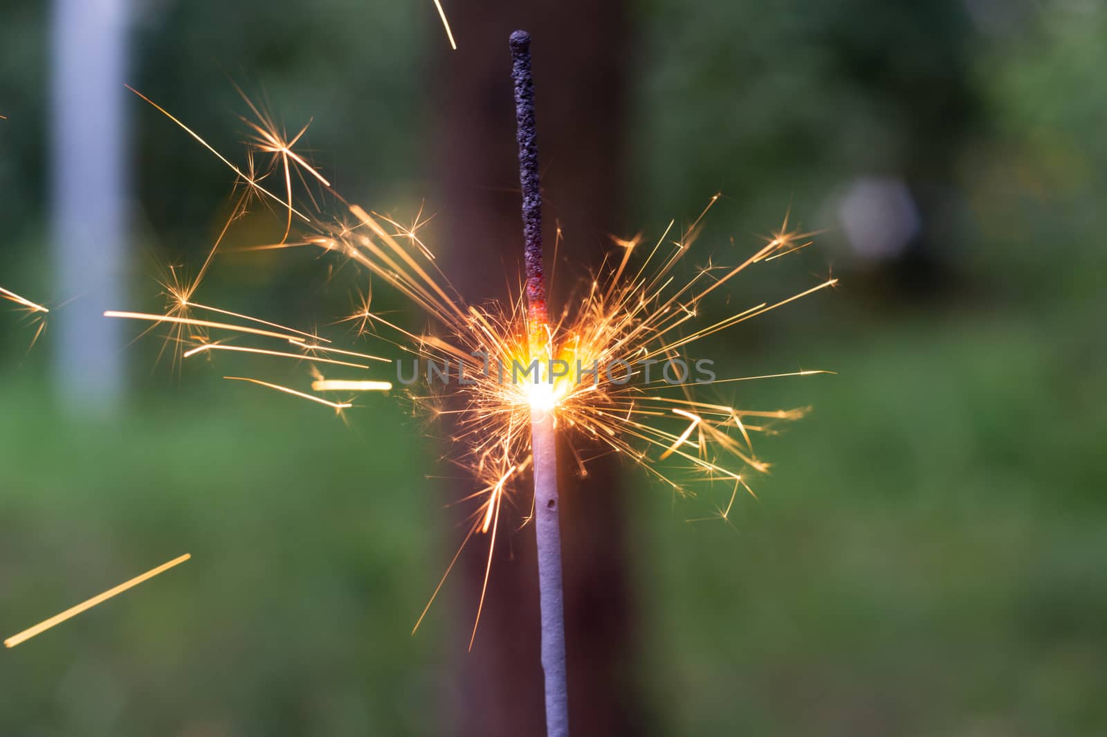 Firing bengali light in hand with blurred bakground close-up view.