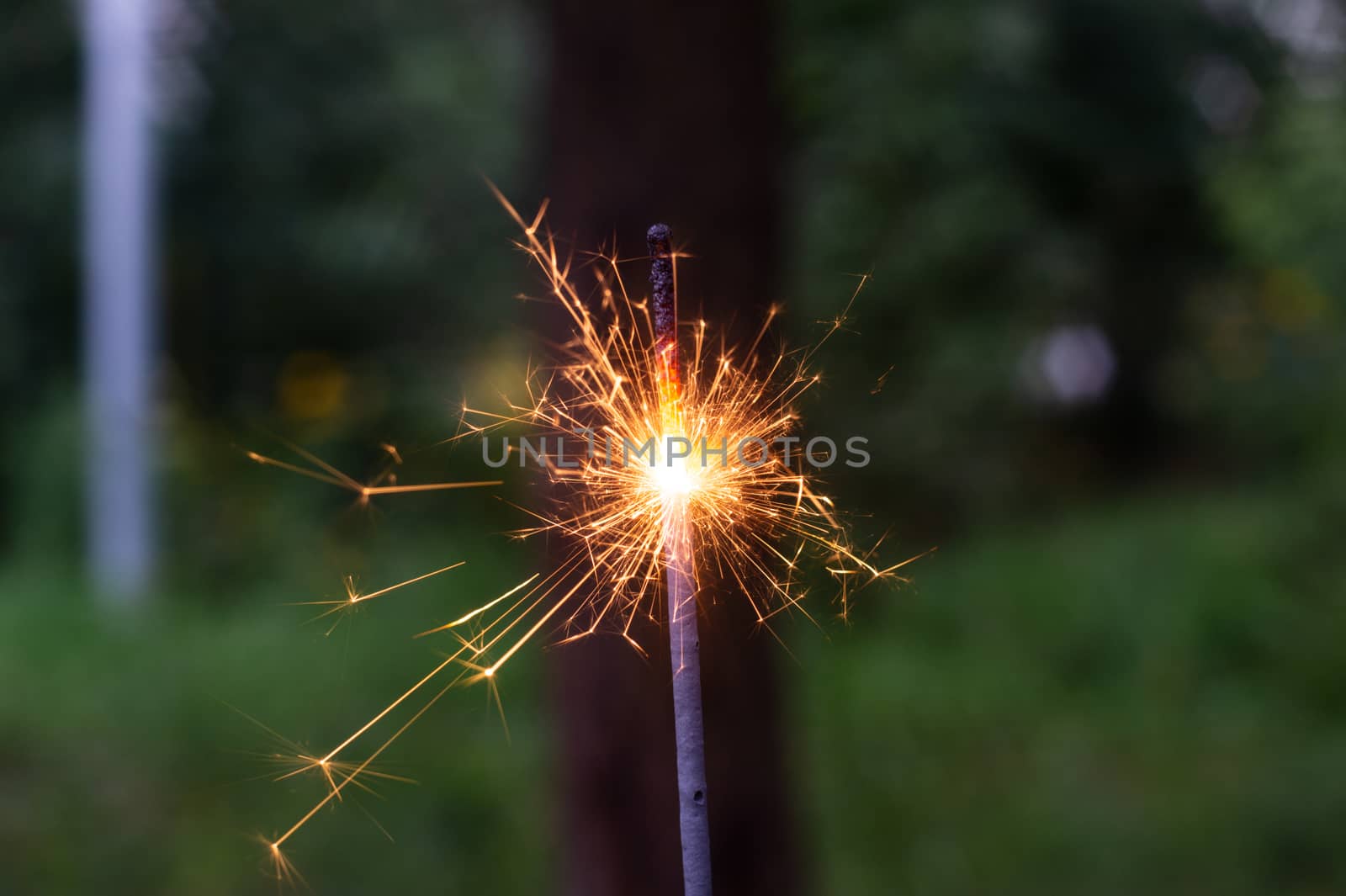 Firing bengali light in hand with blurred bakground close-up view.