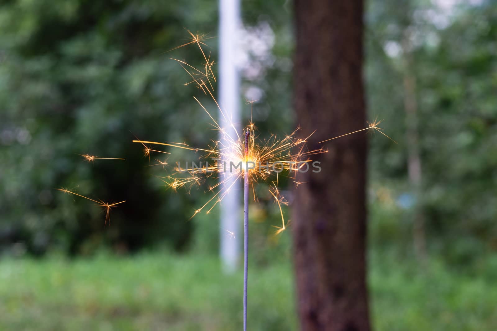 Firing bengali light in hand with blurred bakground close-up view.